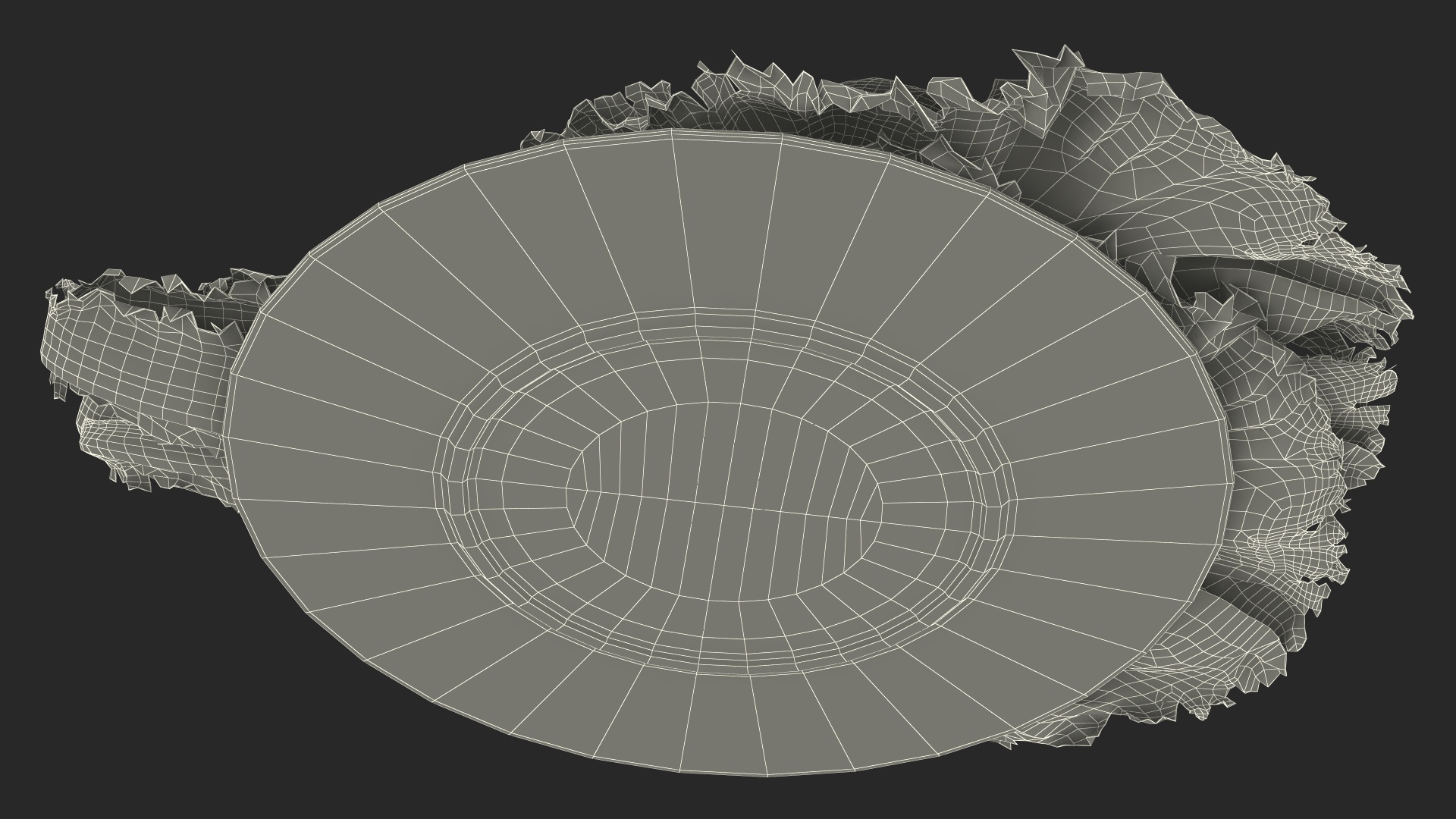 3D Lettuce Leaves on Plate model