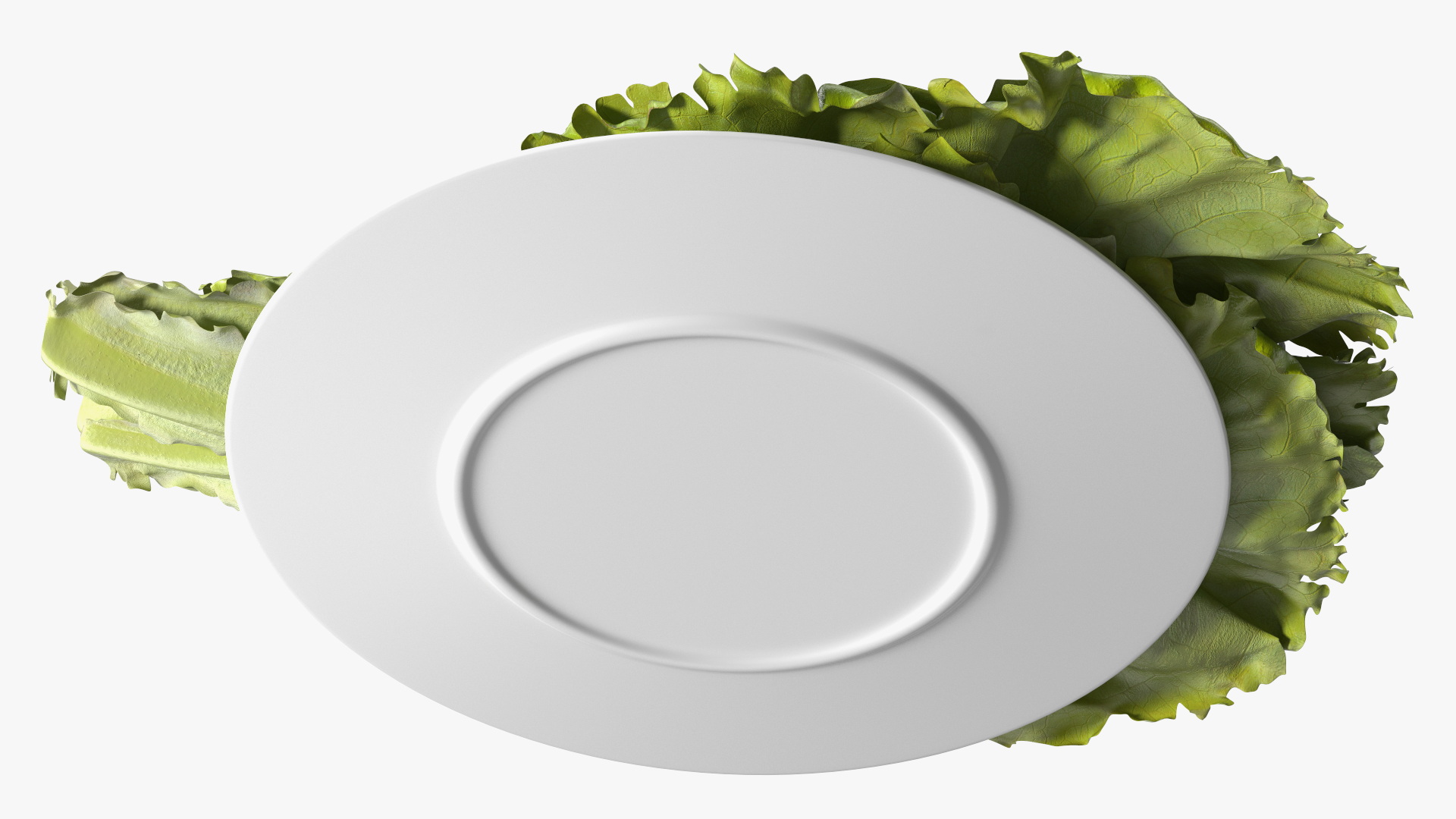 3D Lettuce Leaves on Plate model