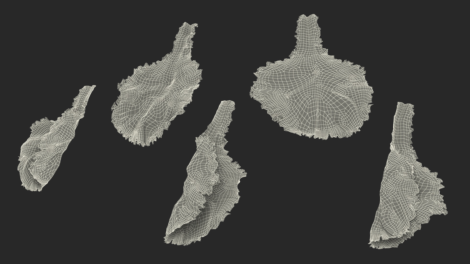 3D Lettuce Leaves on Plate model