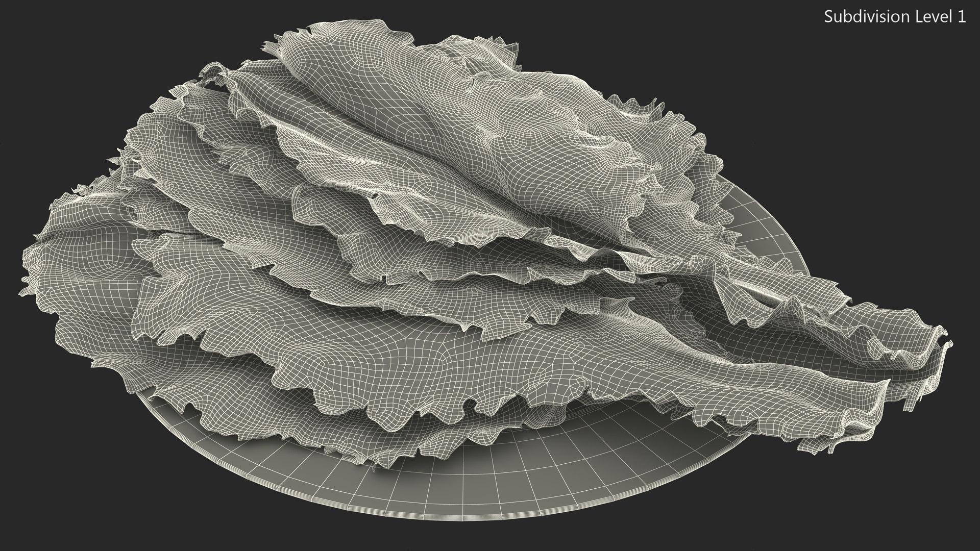 3D Lettuce Leaves on Plate model