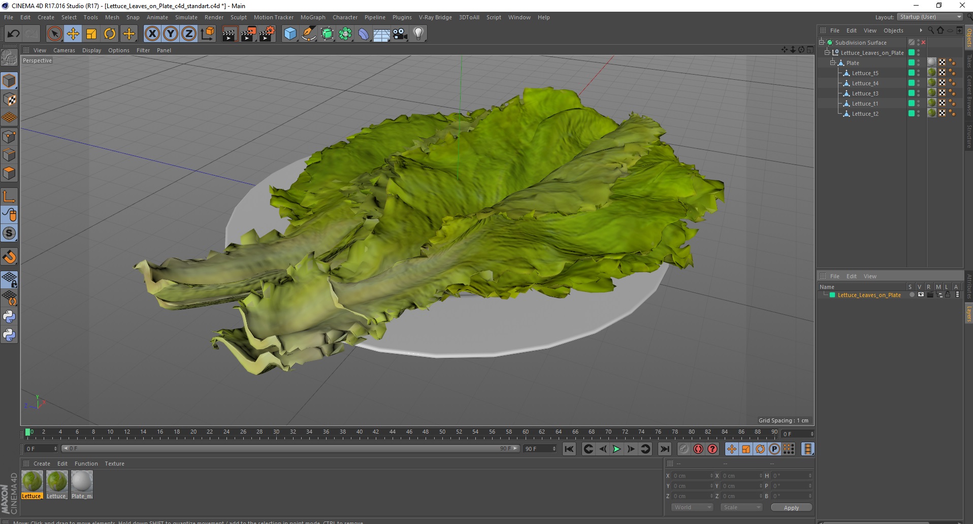3D Lettuce Leaves on Plate model