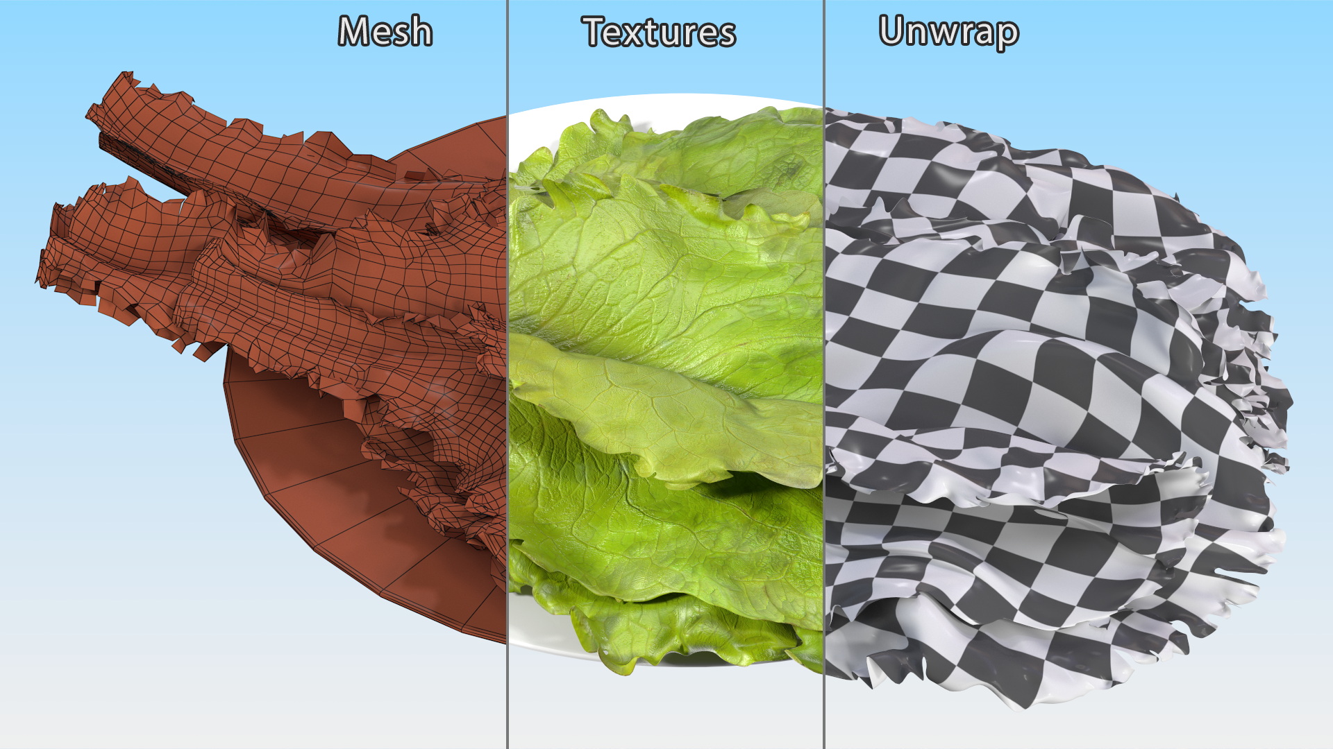 3D Lettuce Leaves on Plate model