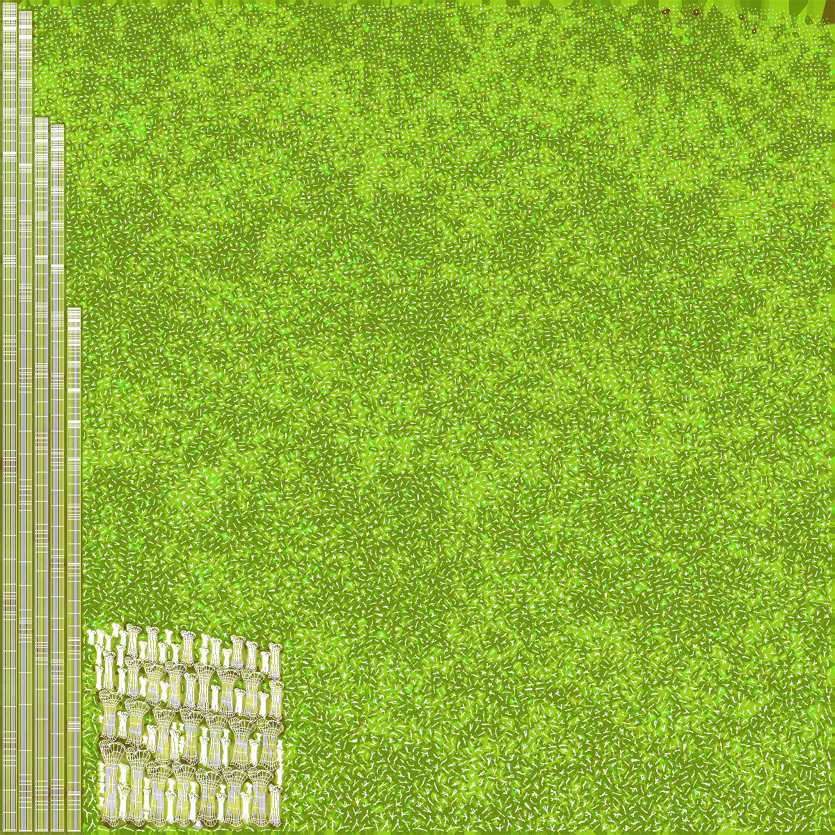 Cabomba Aquarium Plant 3D