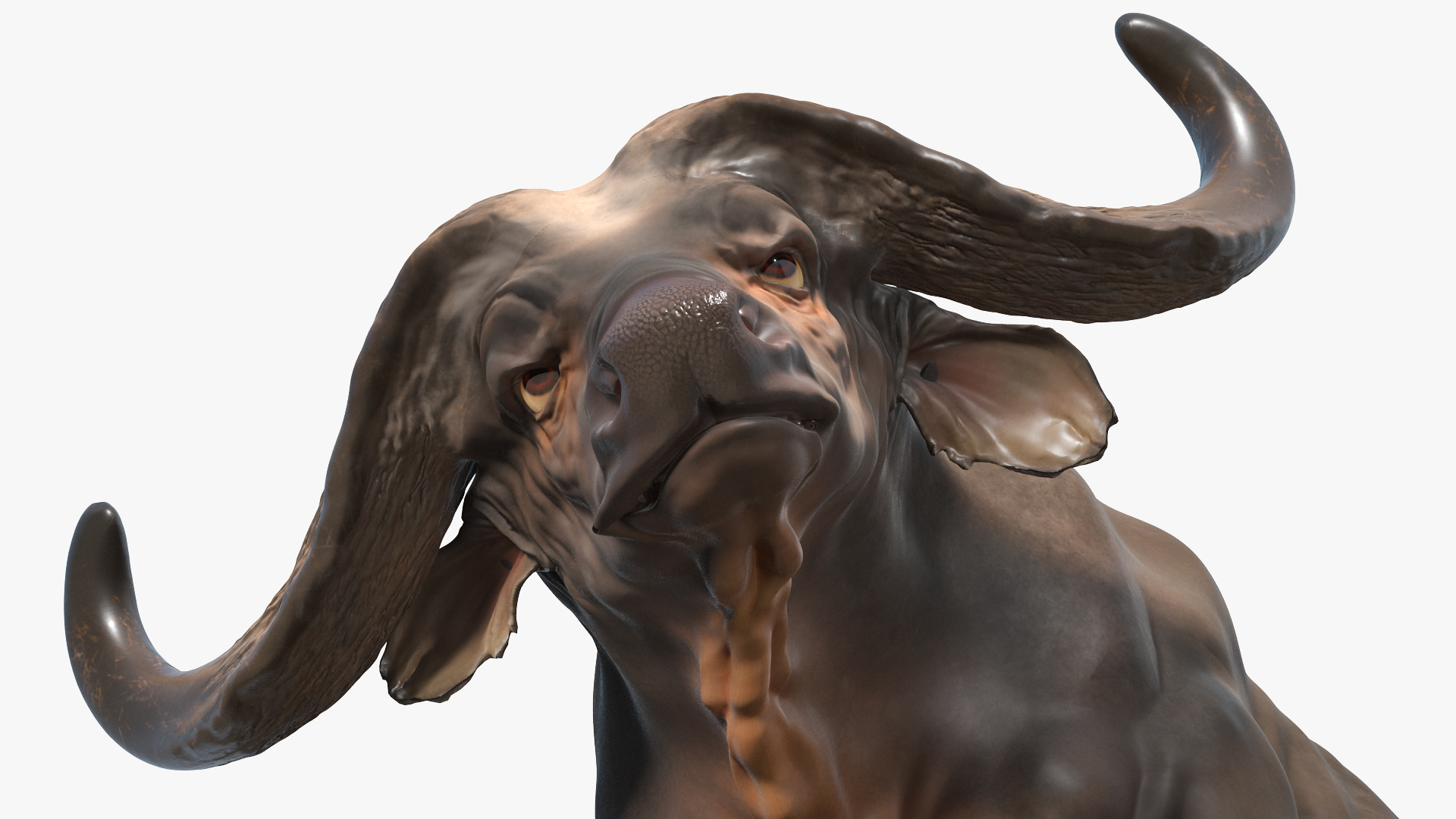 3D model African Buffalo Attacking Pose