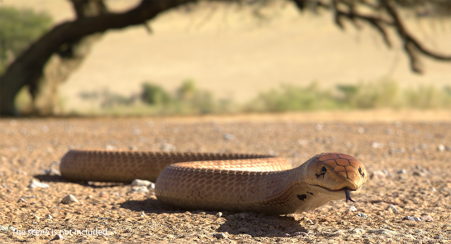 3D Light Cobra Snake Crawling
