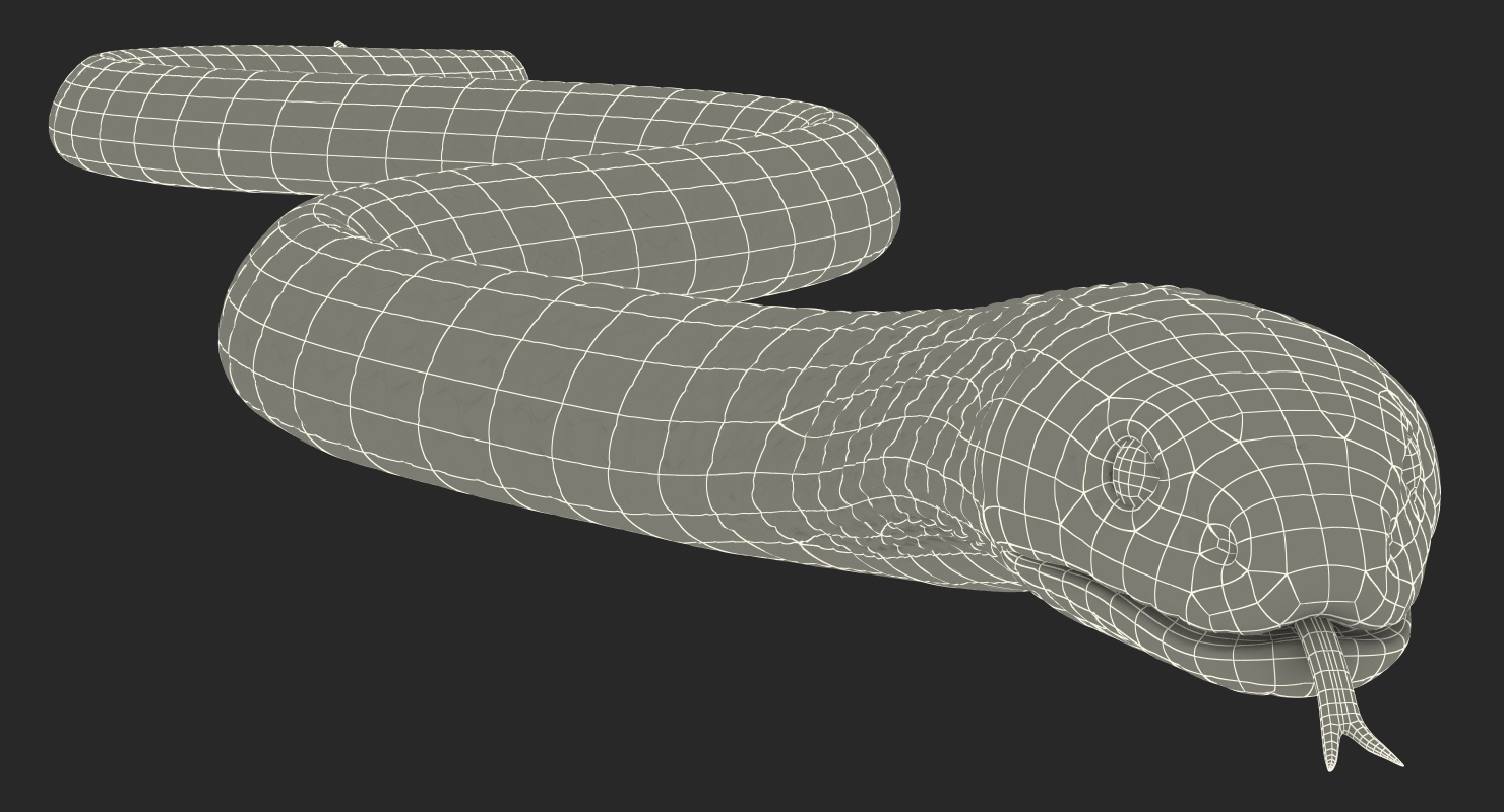 3D Light Cobra Snake Crawling