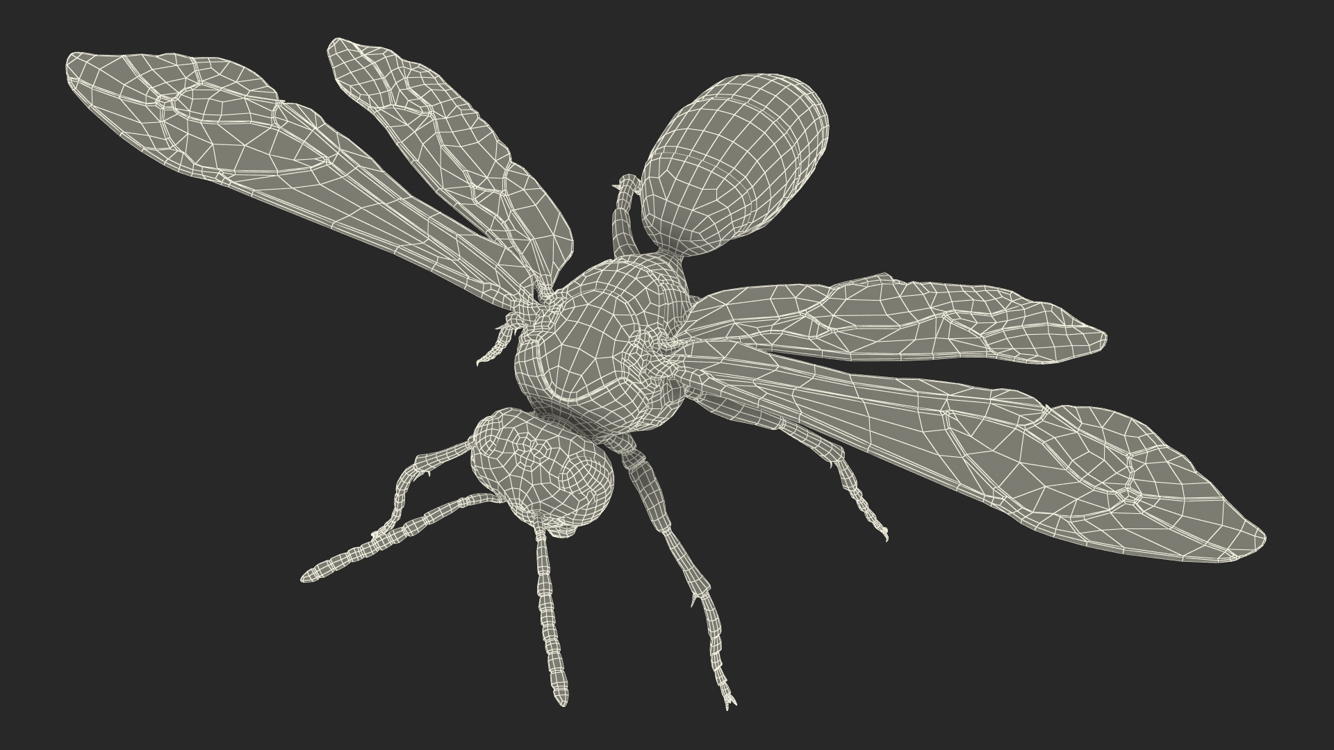 3D model Wasp Fur Rigged