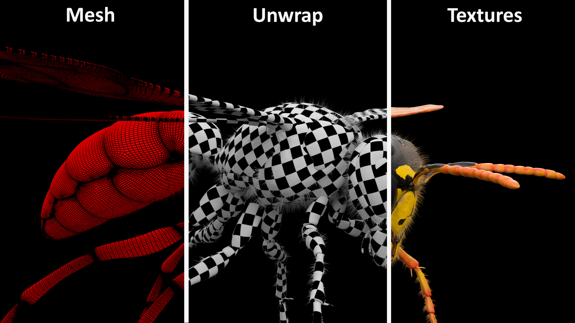 3D model Wasp Fur Rigged