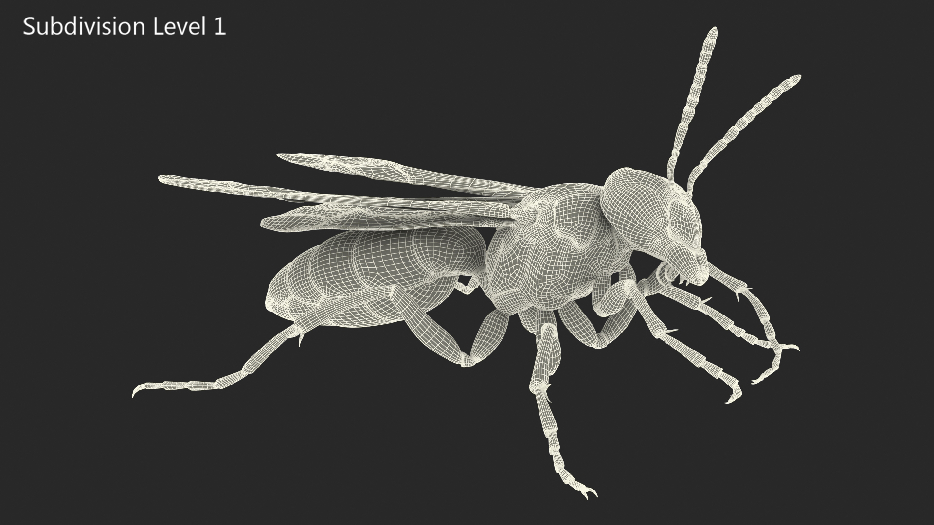 3D model Wasp Fur Rigged