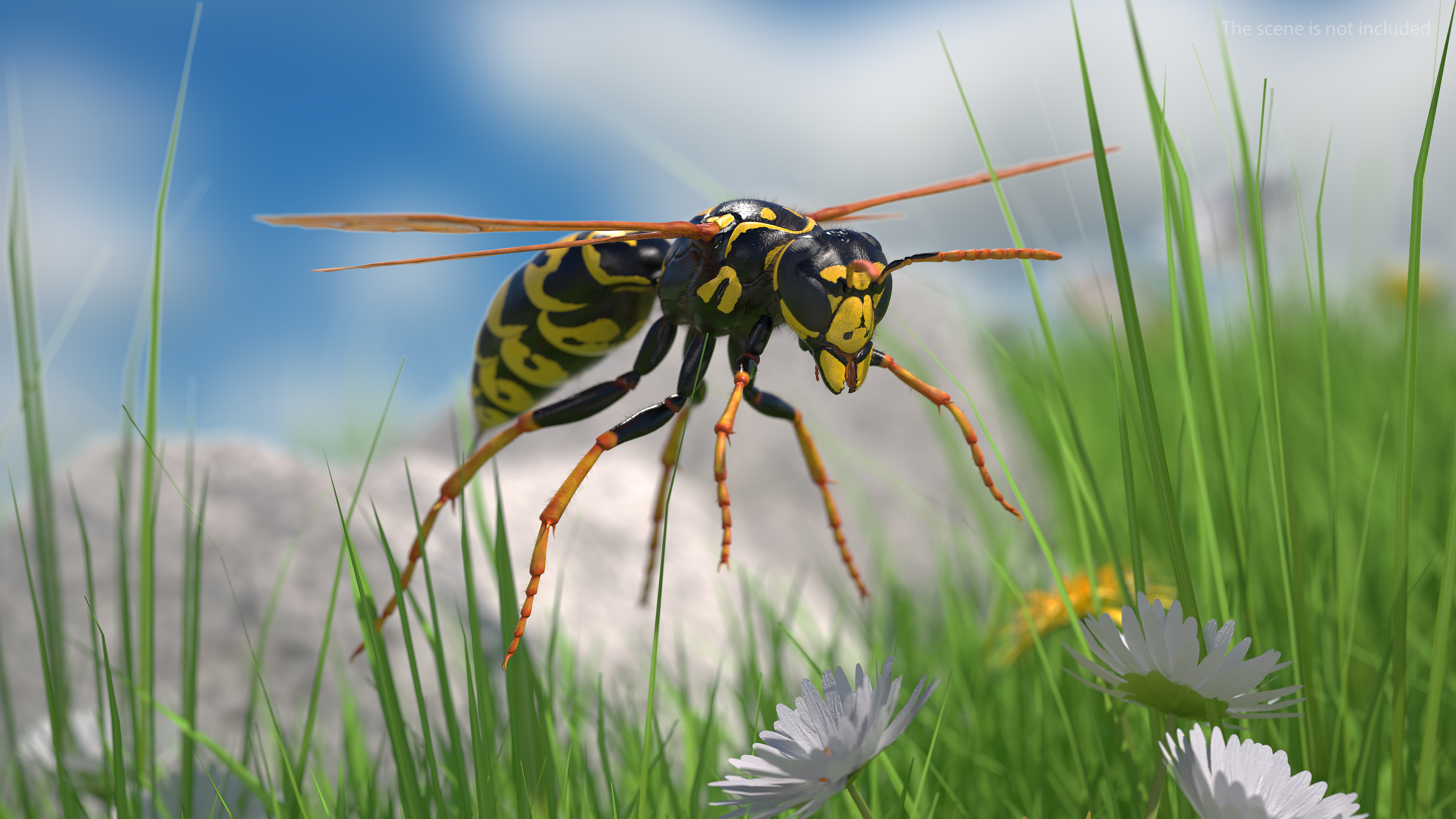 3D model Wasp Fur Rigged