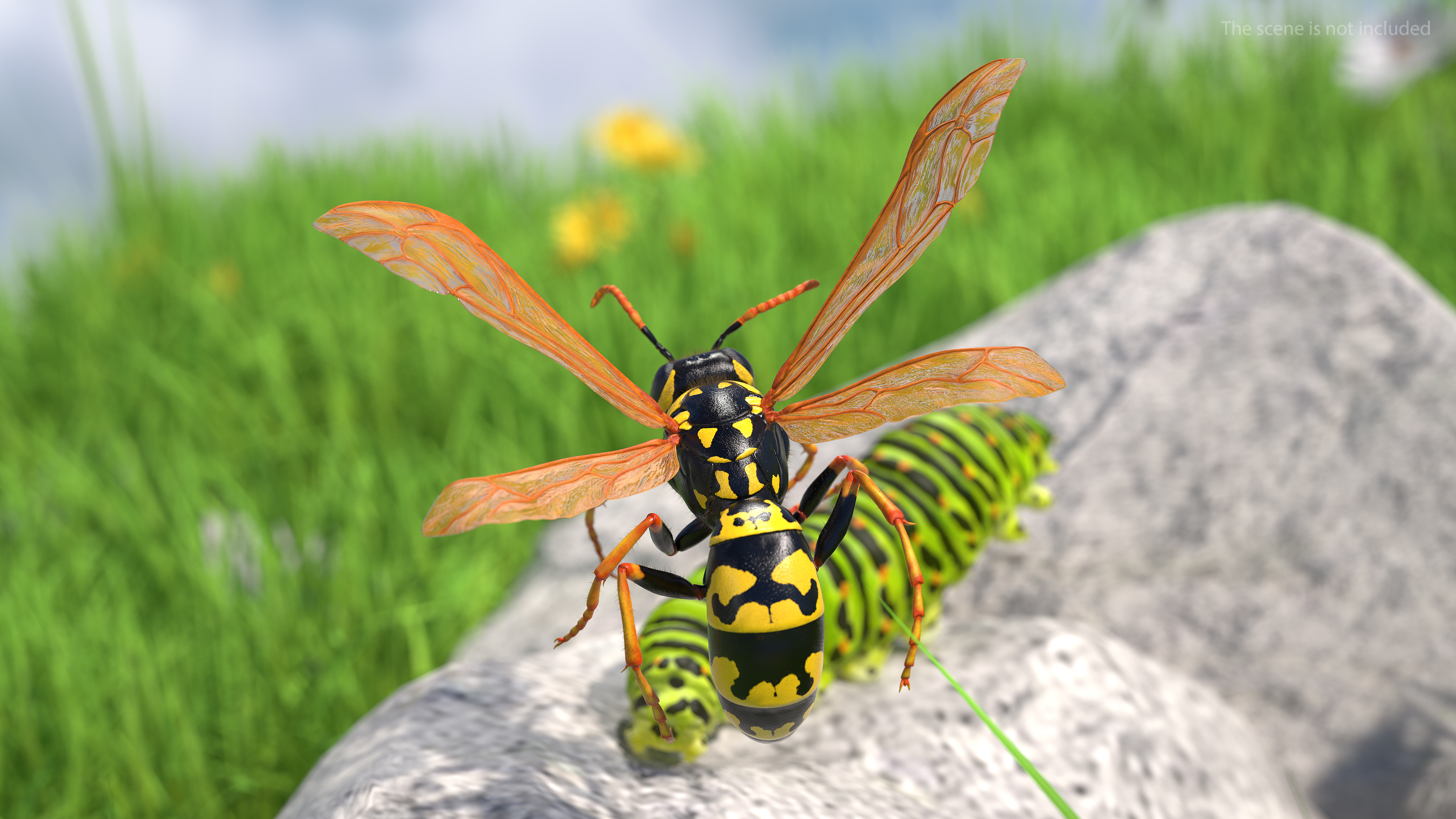 3D model Wasp Fur Rigged