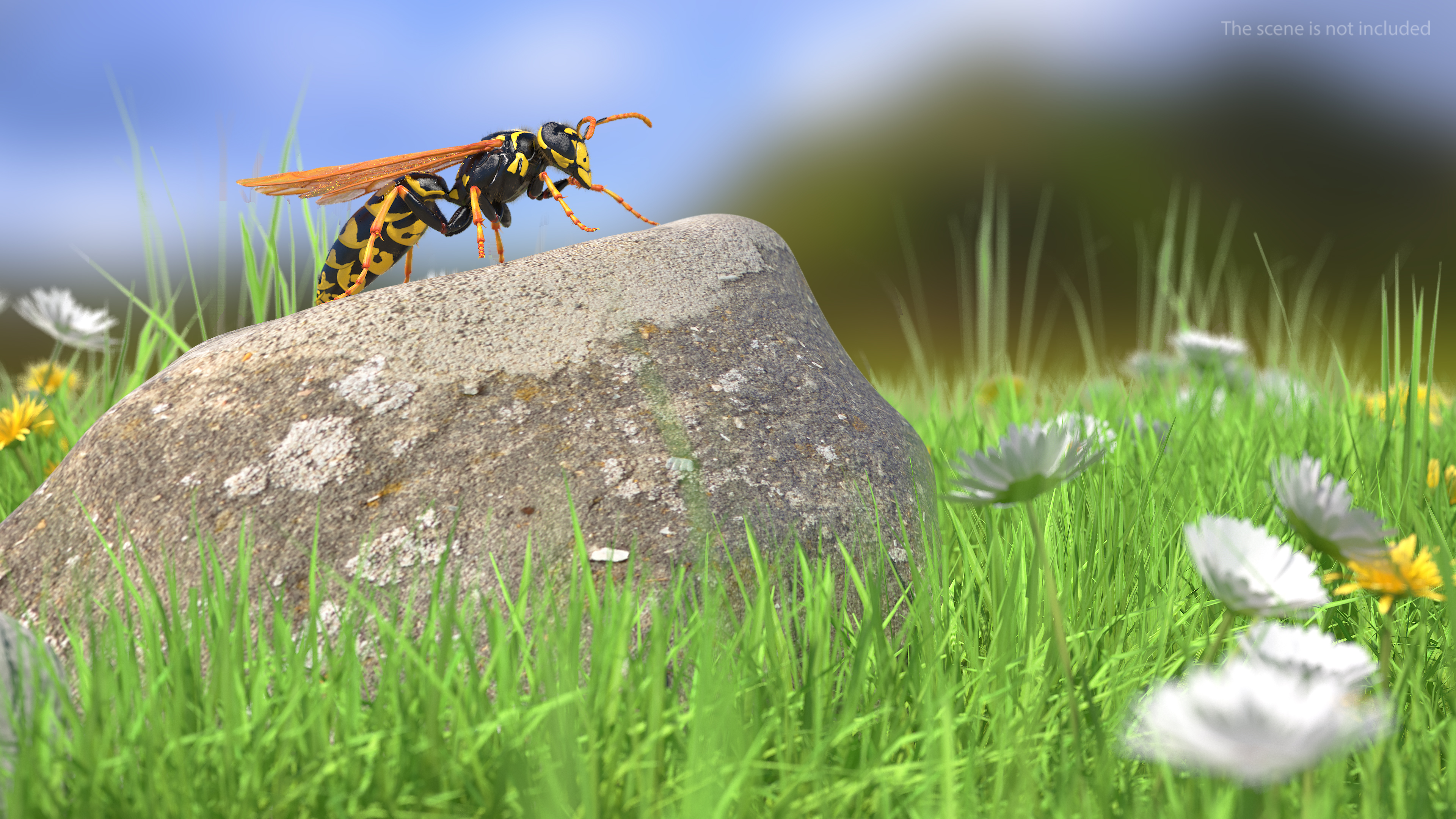 3D model Wasp Fur Rigged