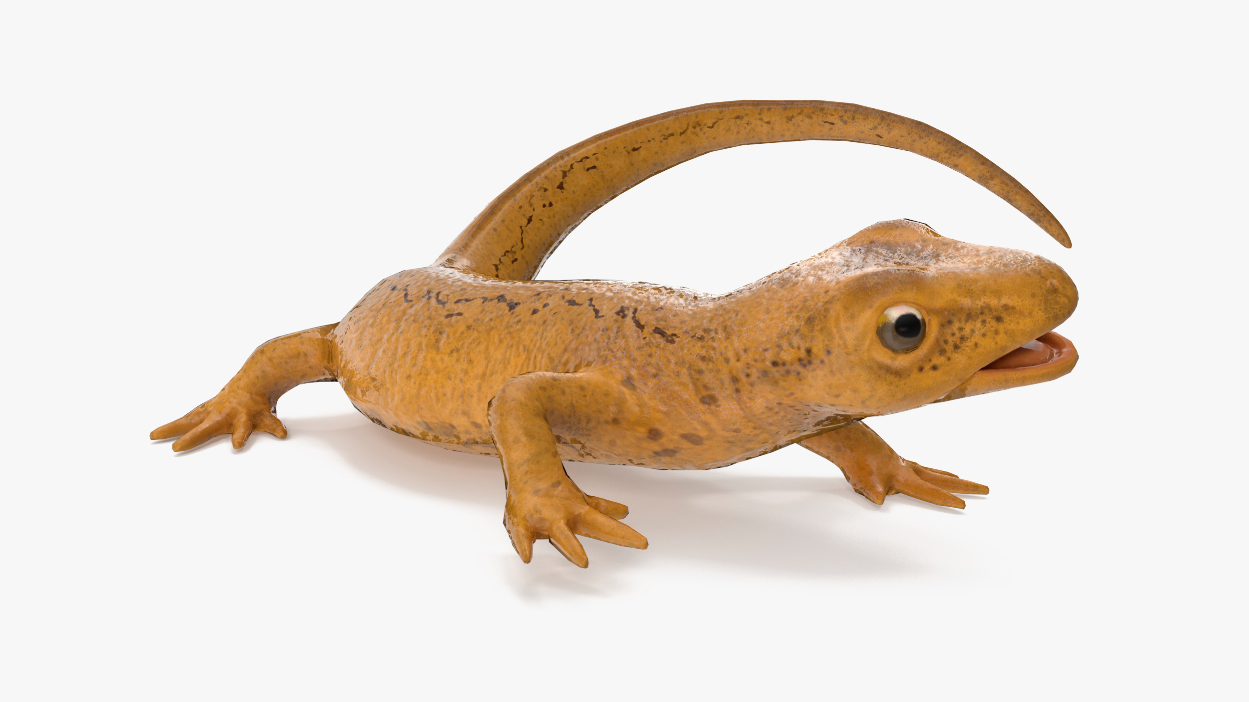 Smooth Newt Rigged for Maya 3D