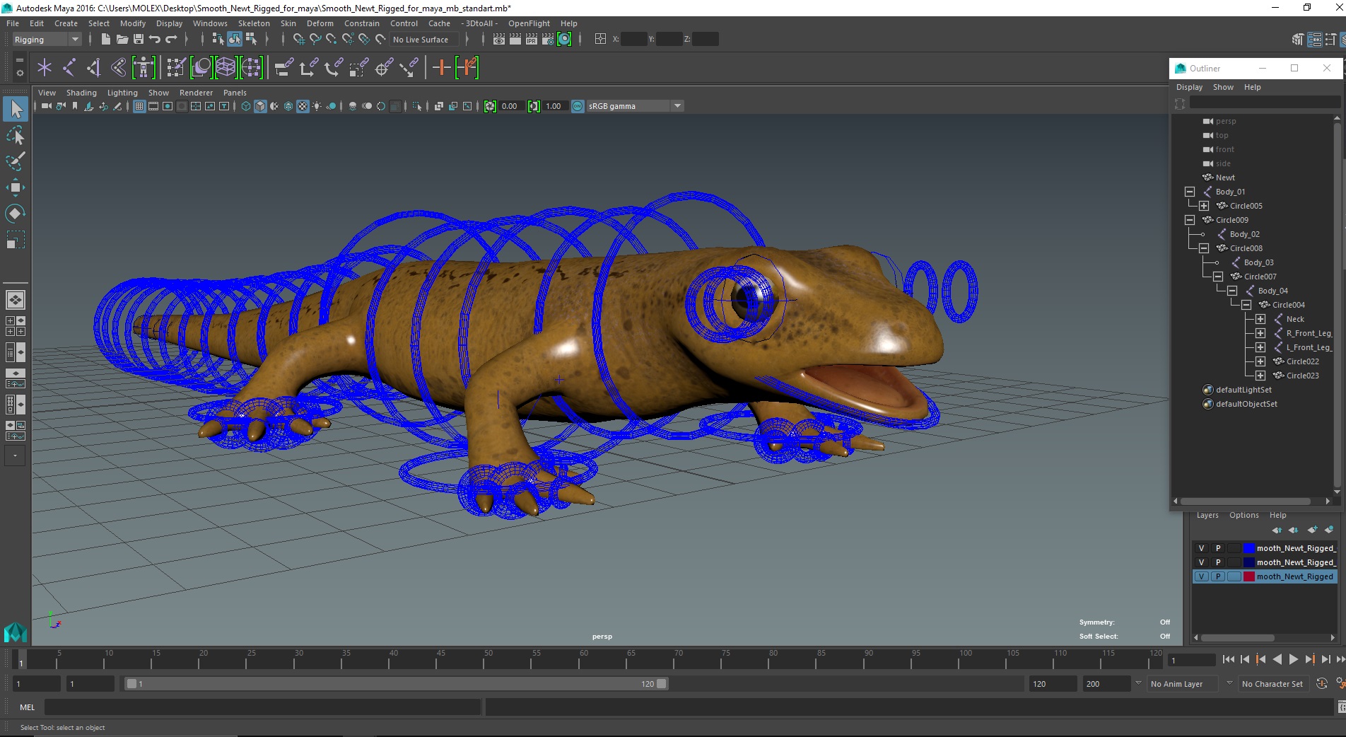Smooth Newt Rigged for Maya 3D