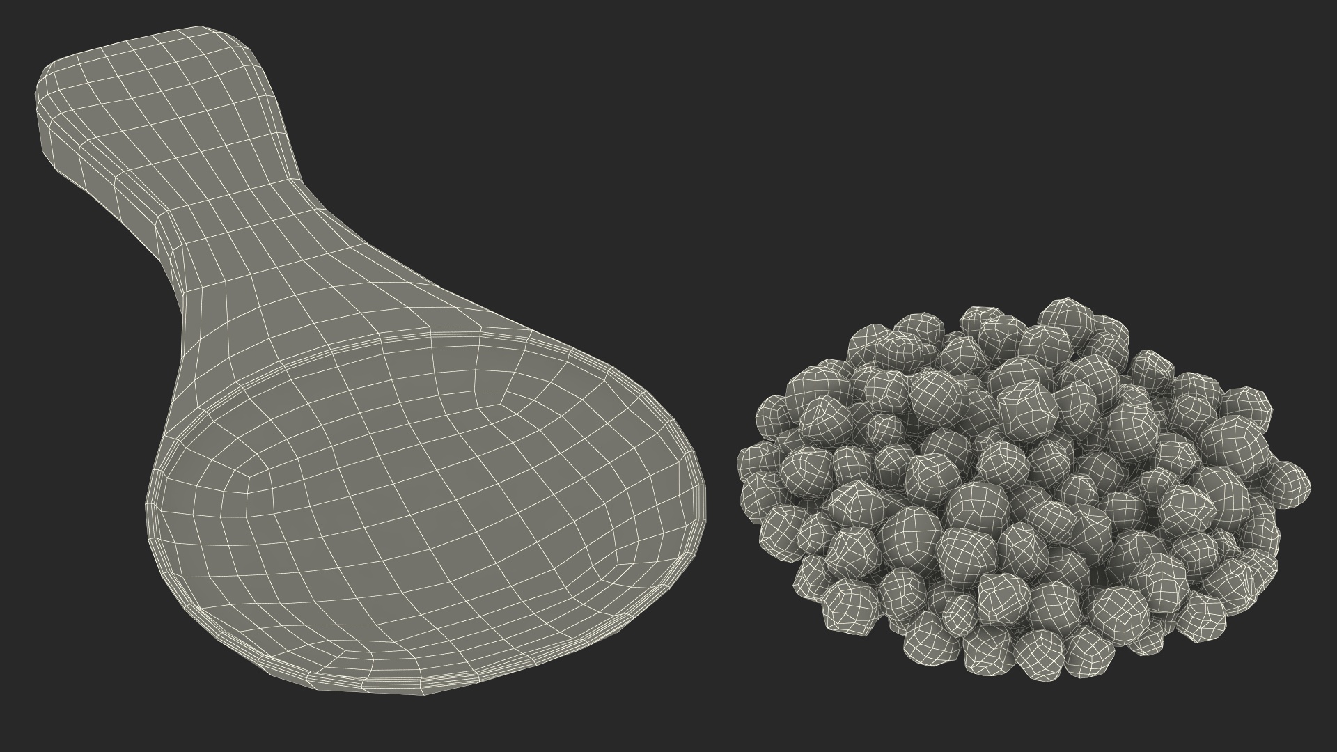 Spoon of Dried Green Peppercorns 3D