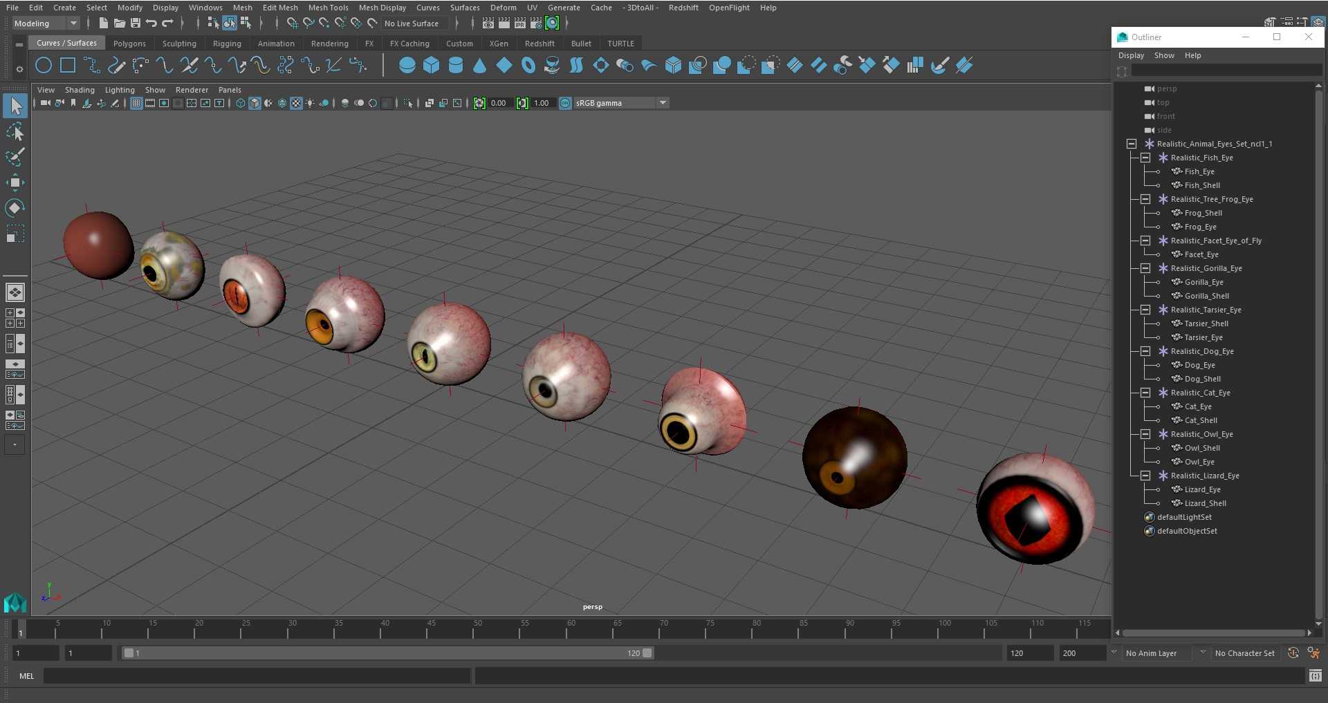 3D model Realistic Animal Eyes Set