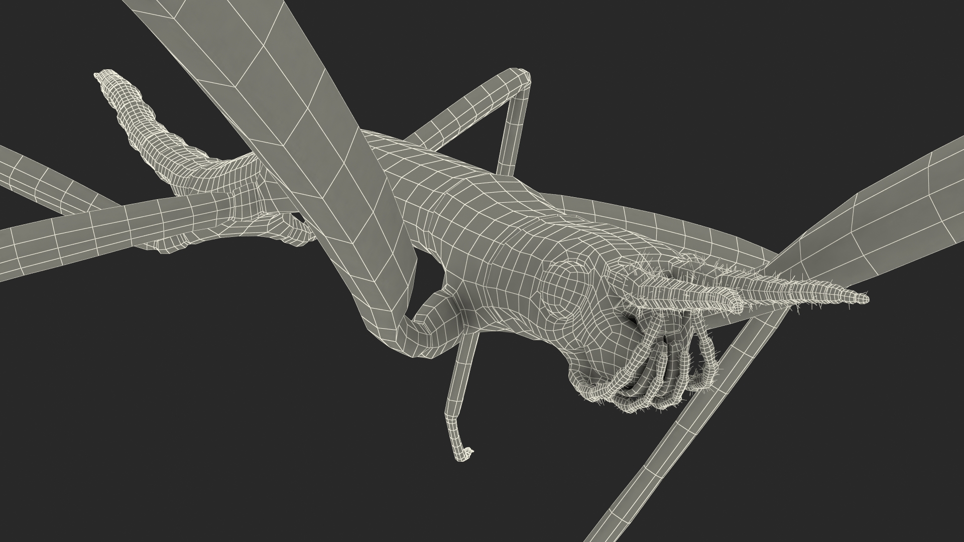 3D model Stick Insect Green Rigged