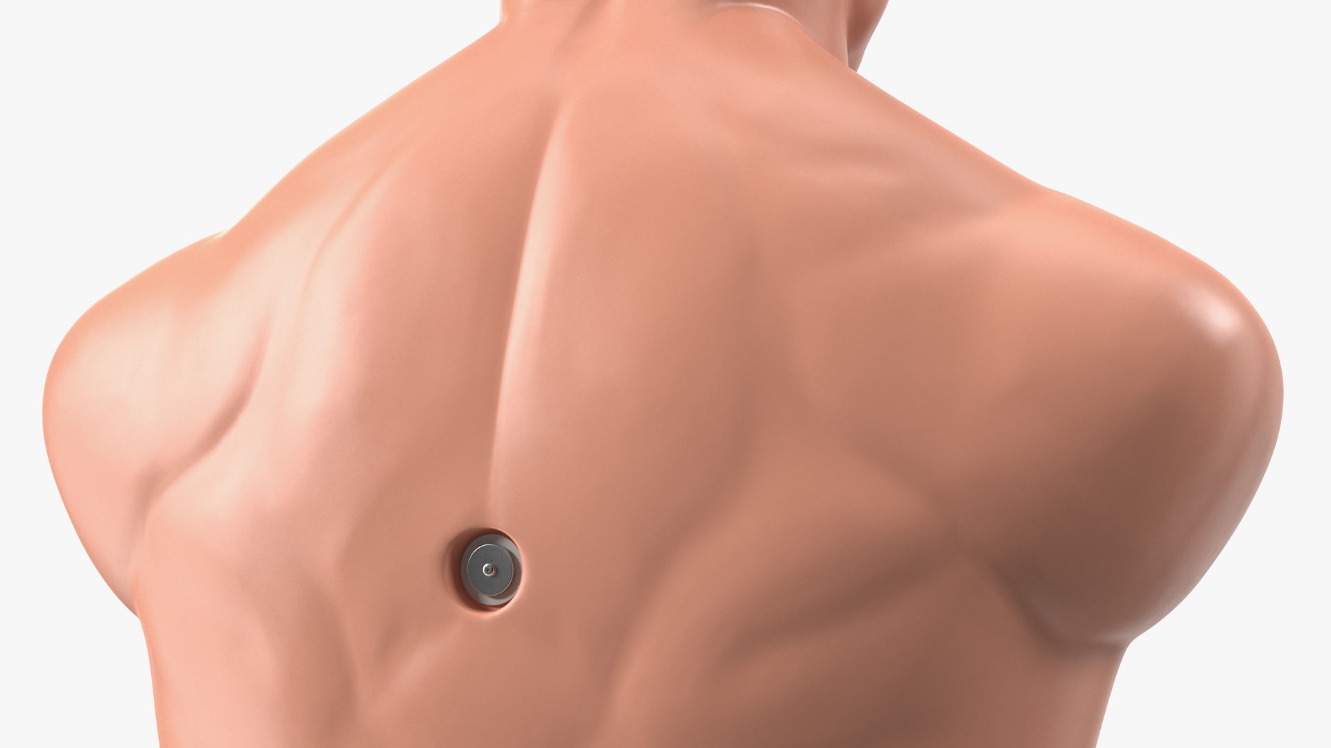 3D model Century Bob Body Opponent Training Dummy