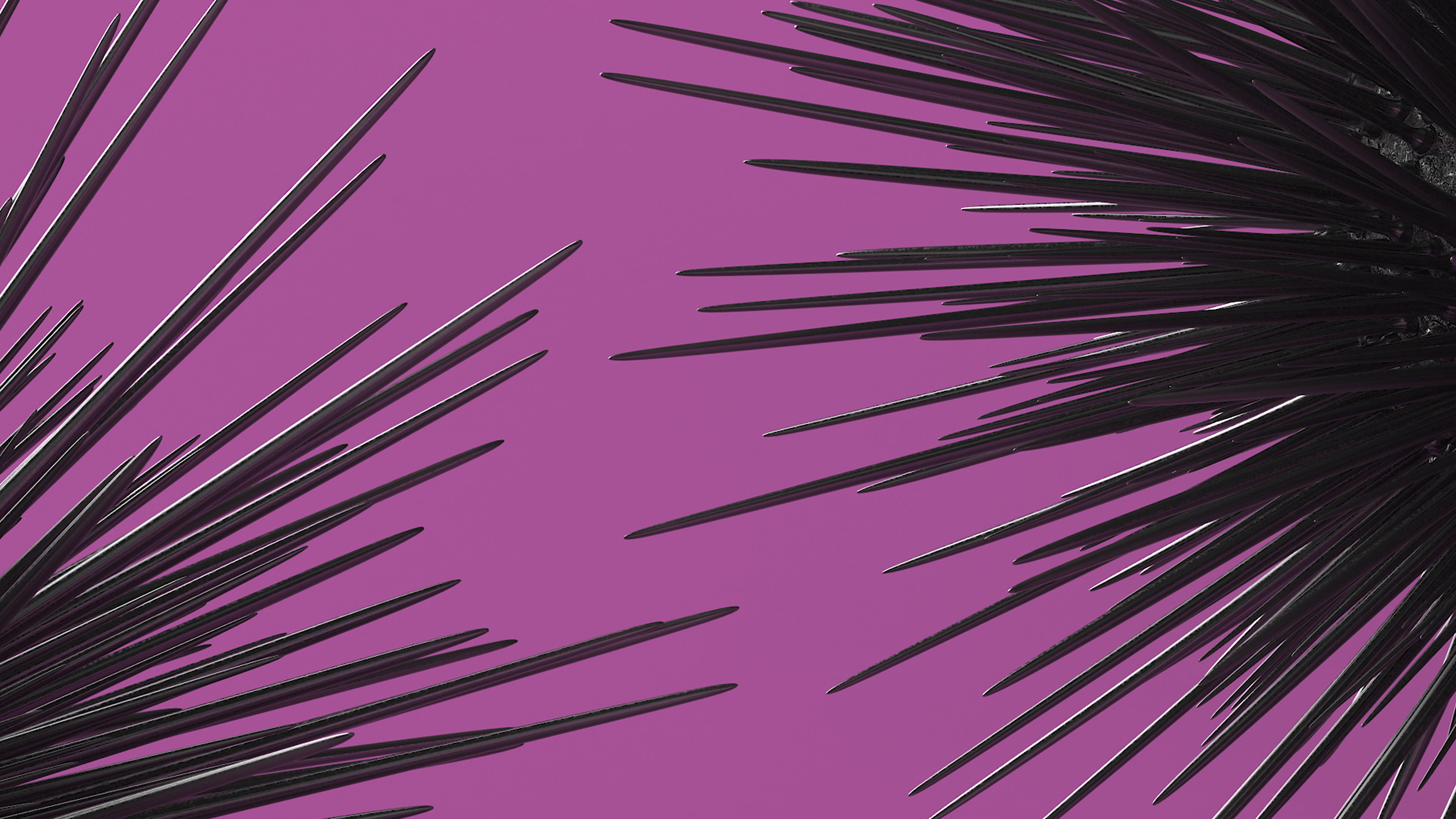 3D Black Sea Urchin