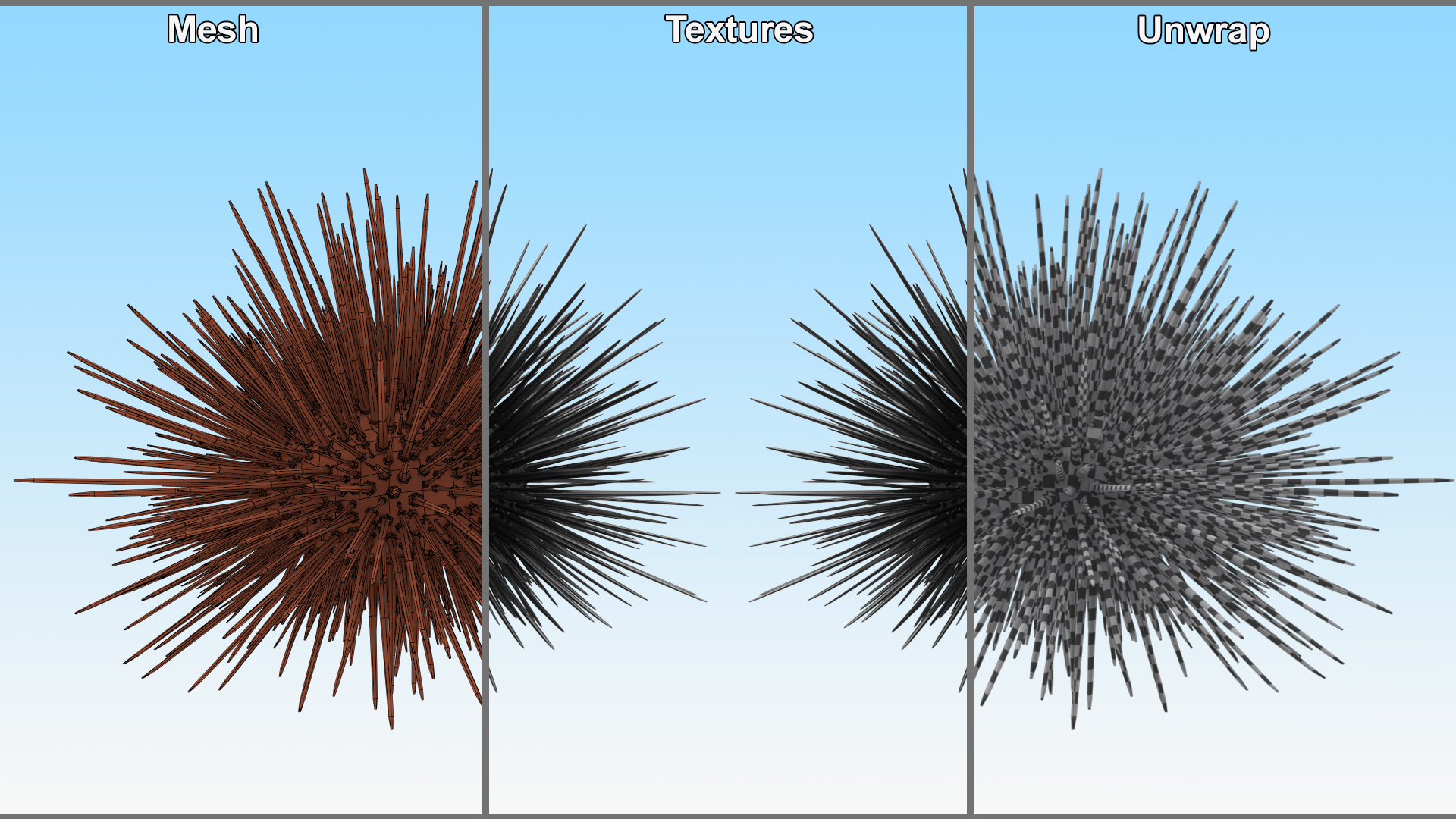 3D Black Sea Urchin