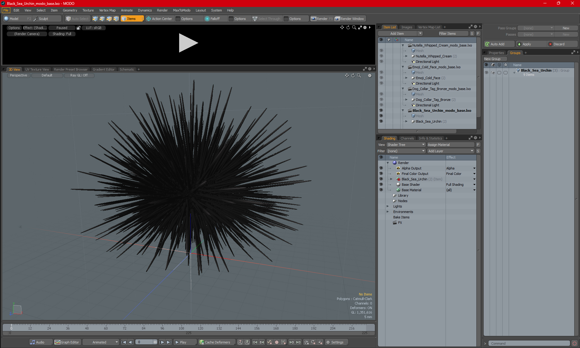 3D Black Sea Urchin