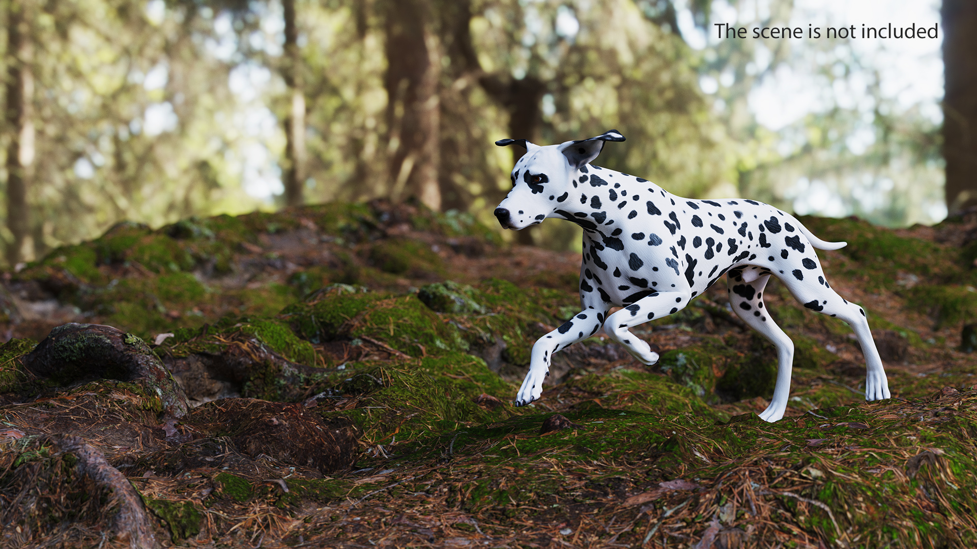 Running Spotted Dalmatian Dog 3D model