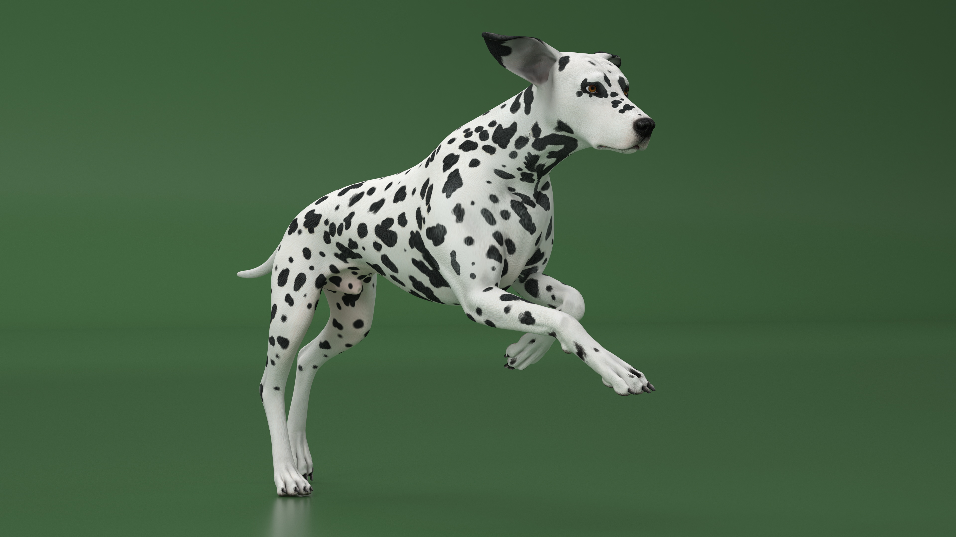 Running Spotted Dalmatian Dog 3D model
