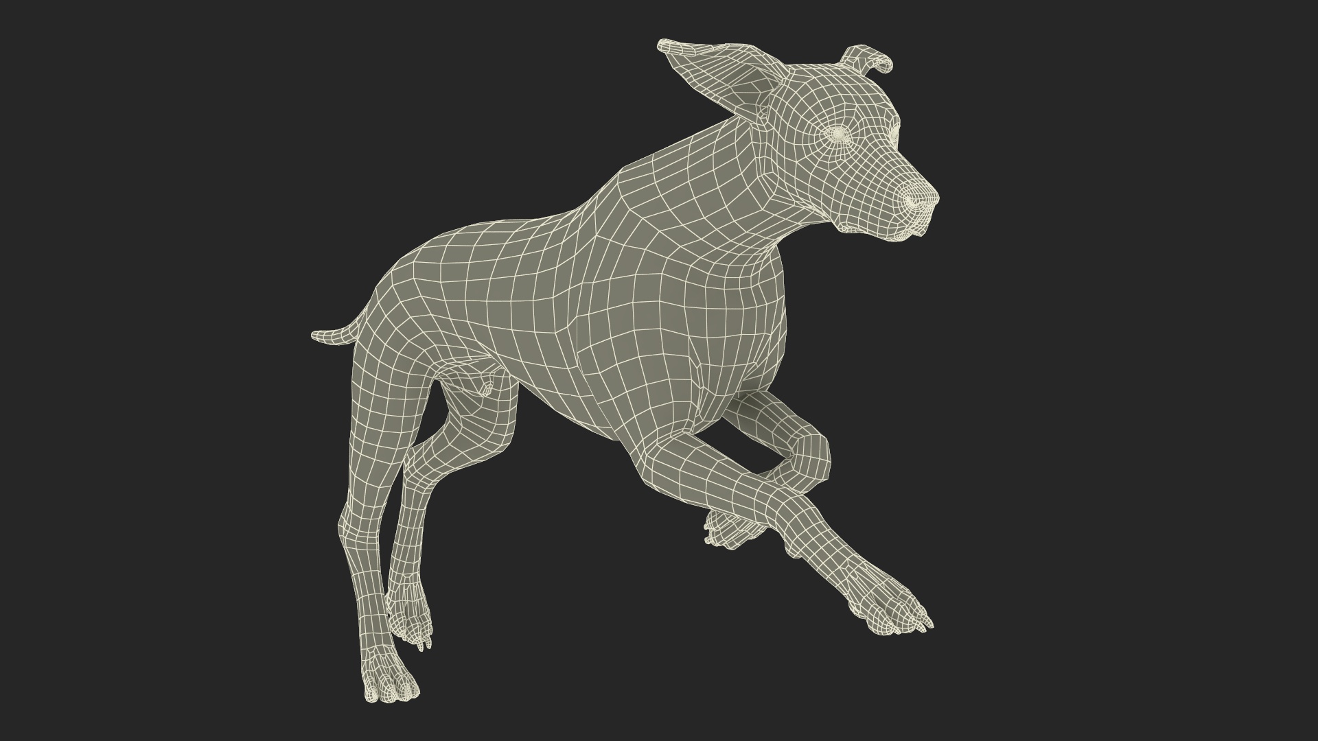 Running Spotted Dalmatian Dog 3D model