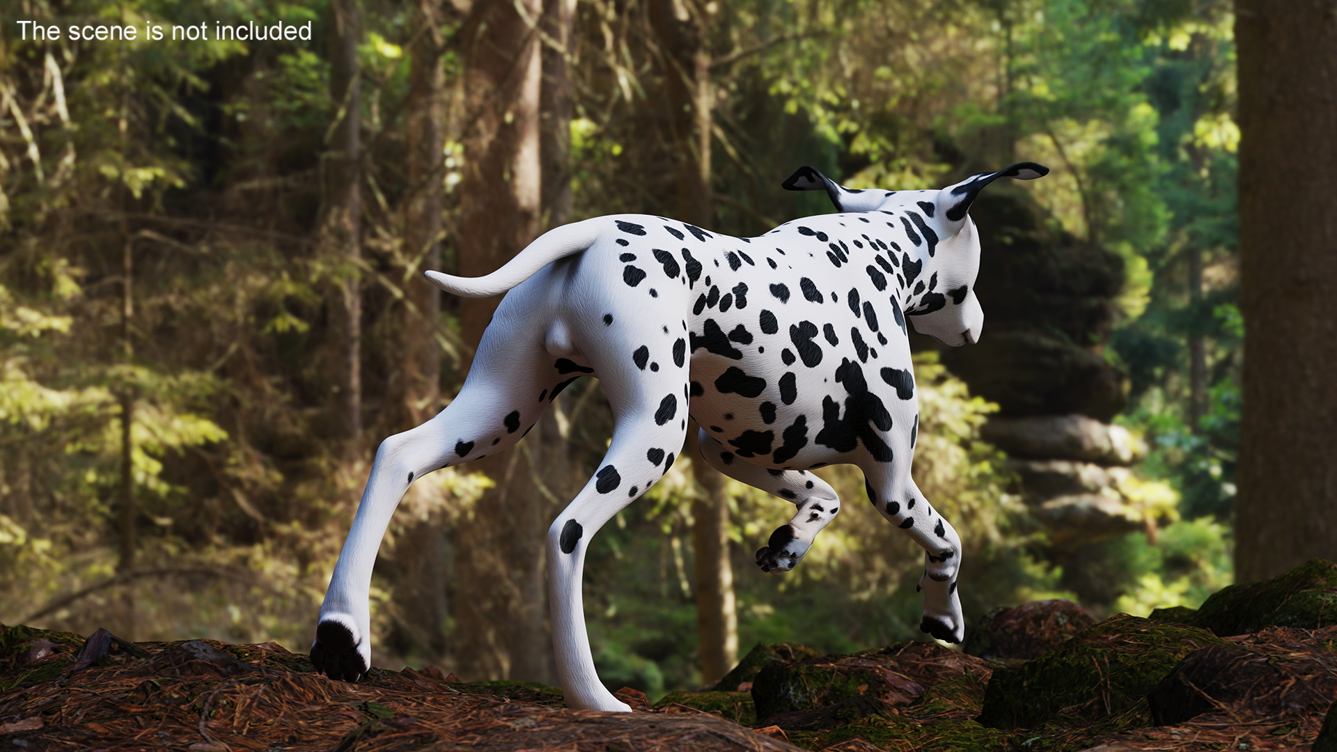 Running Spotted Dalmatian Dog 3D model