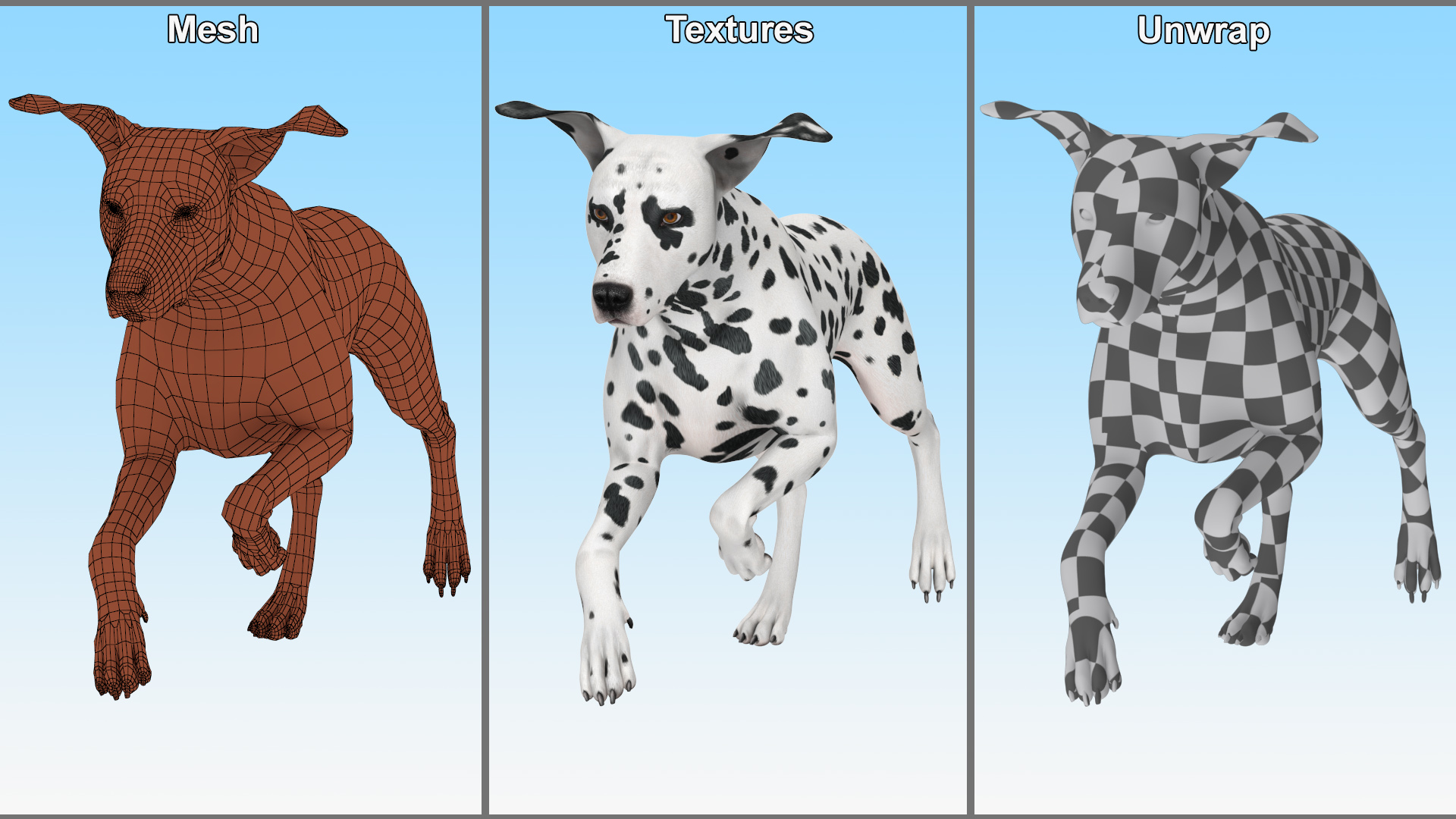 Running Spotted Dalmatian Dog 3D model