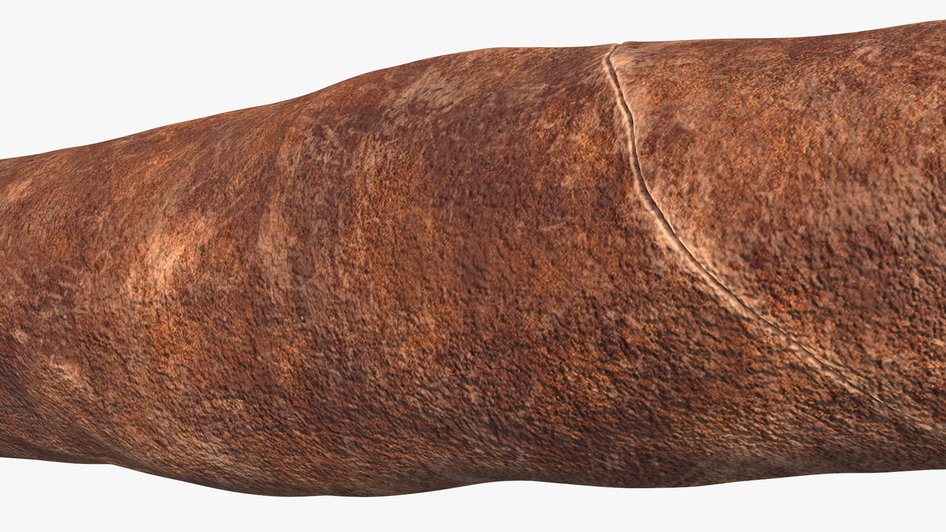 Single Cigar 3D