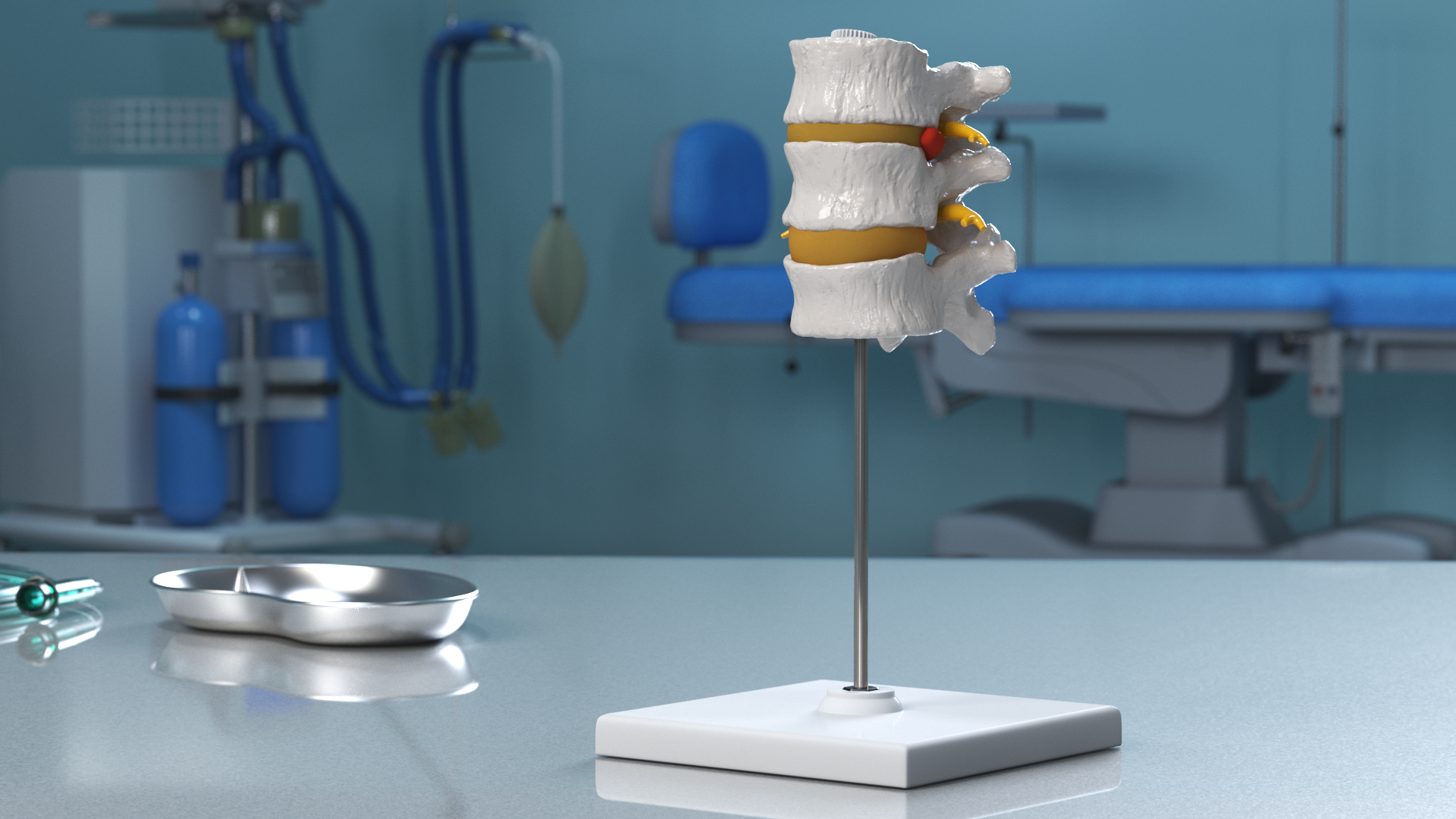Herniated Vertebrae on Medical Stand, view 11