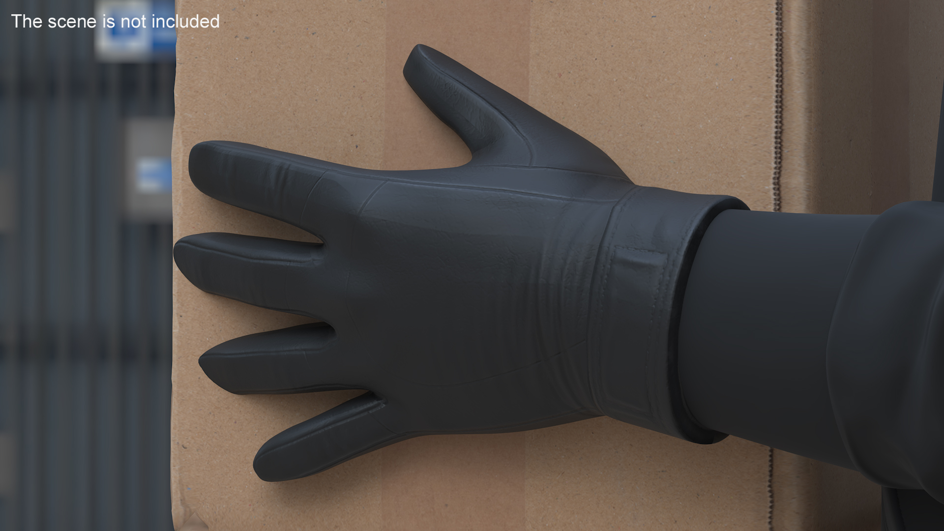 Black Gloves 3D