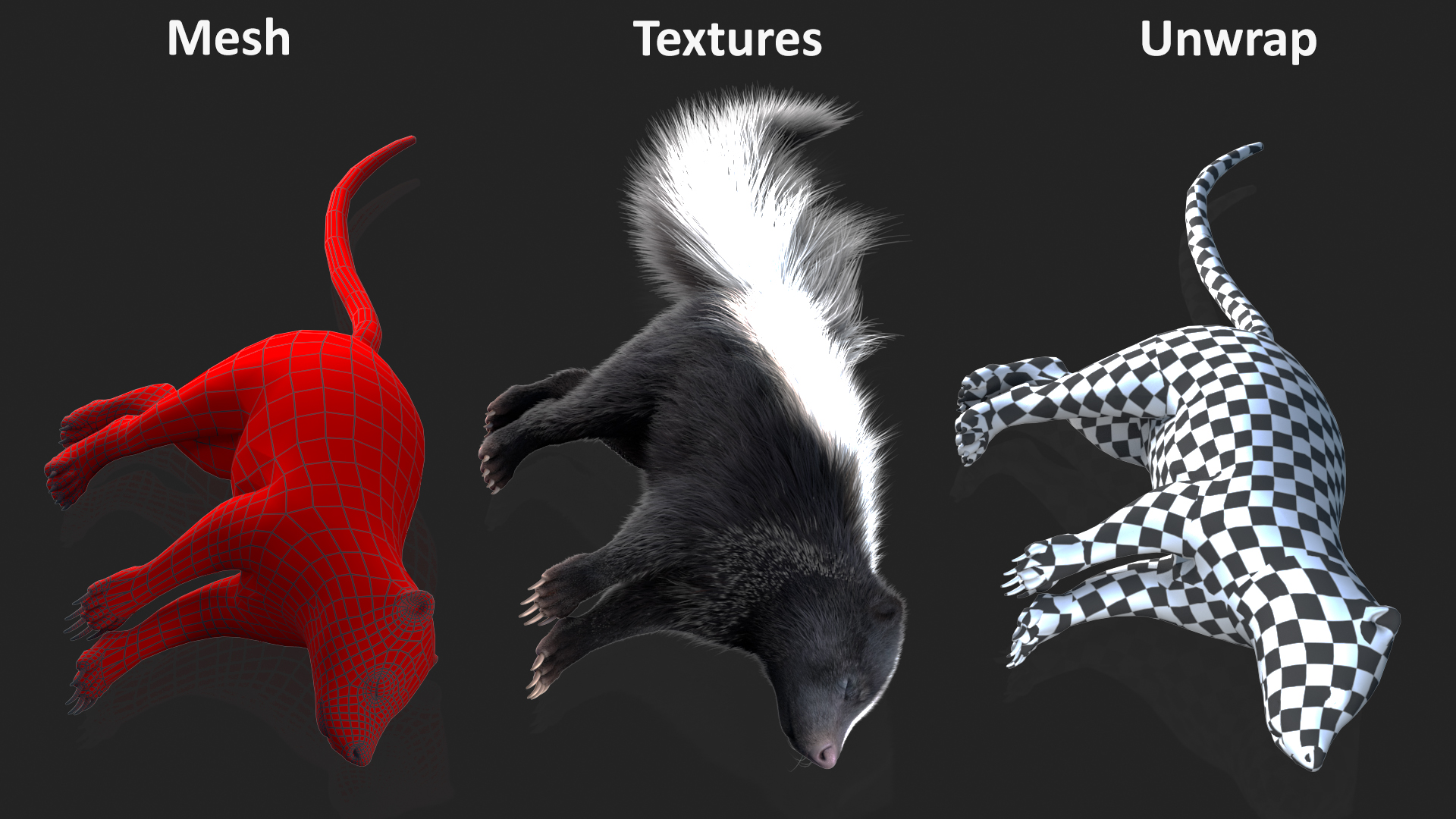 3D model Skunk Lying Fur