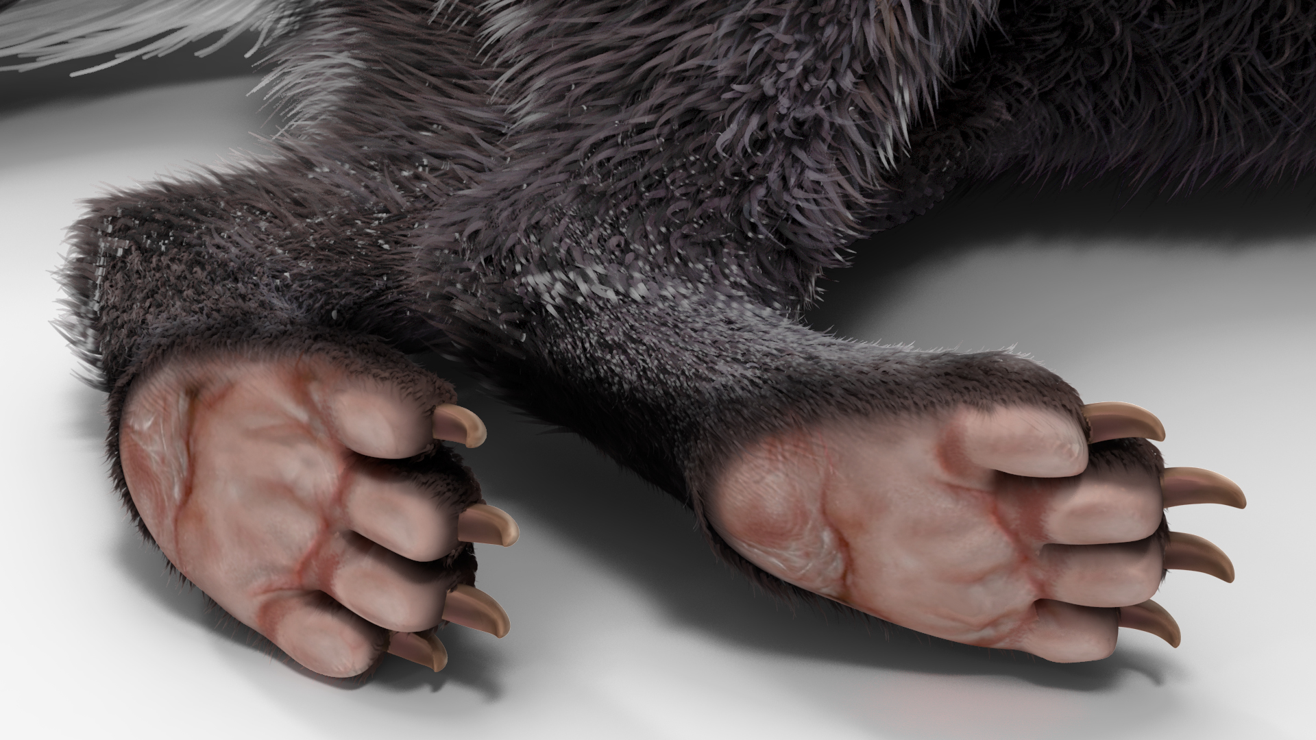 3D model Skunk Lying Fur