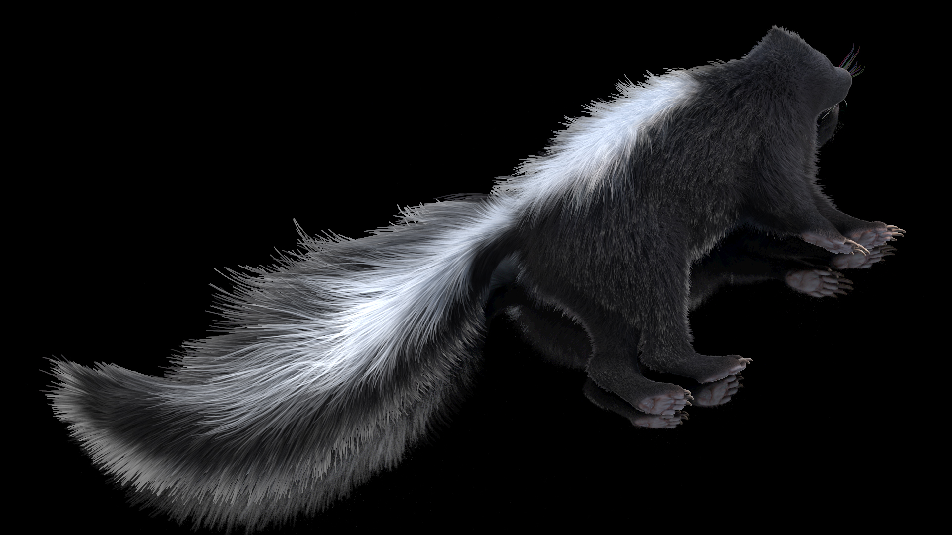 3D model Skunk Lying Fur