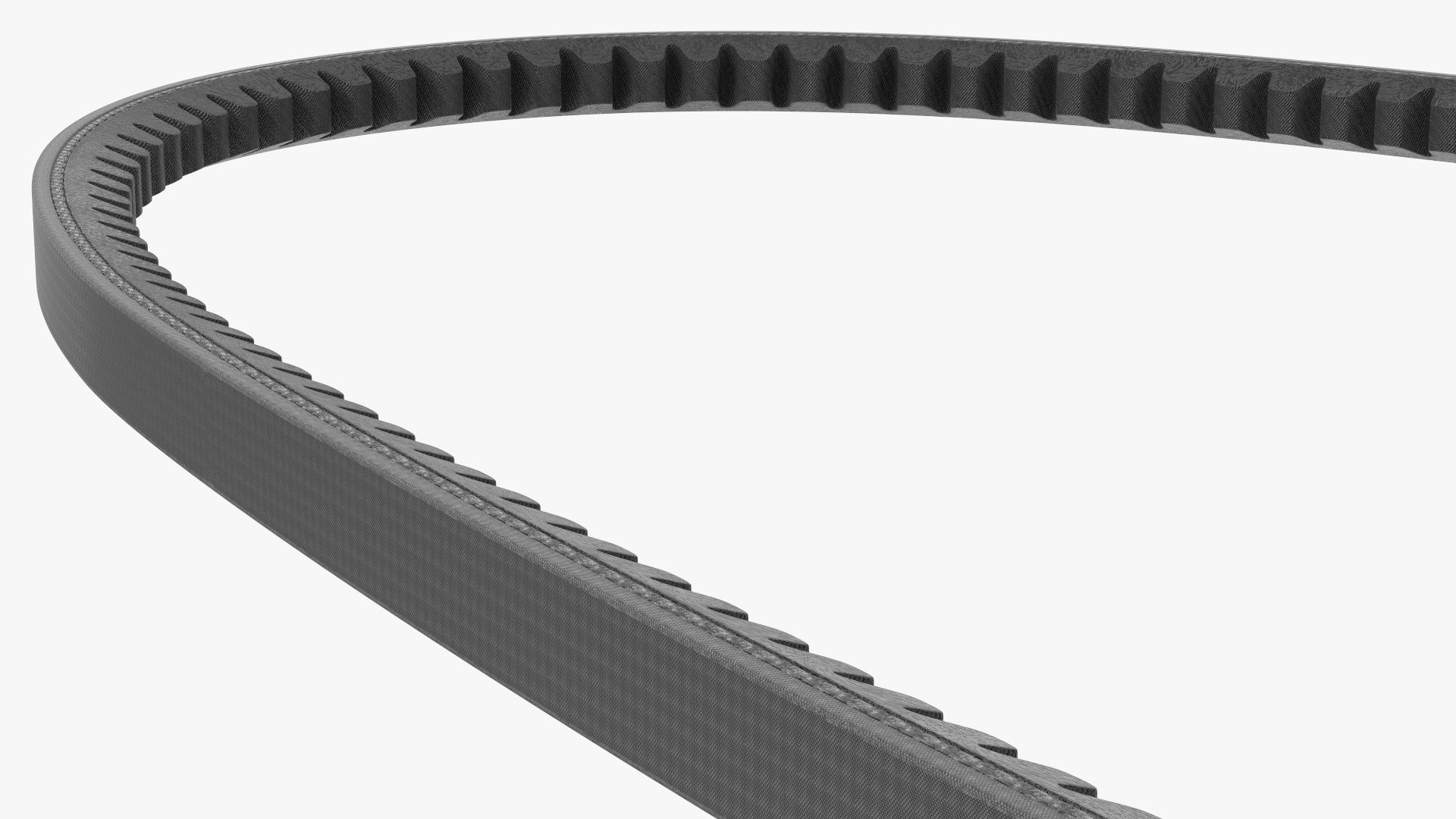 Accessory Drive V Belt 3D