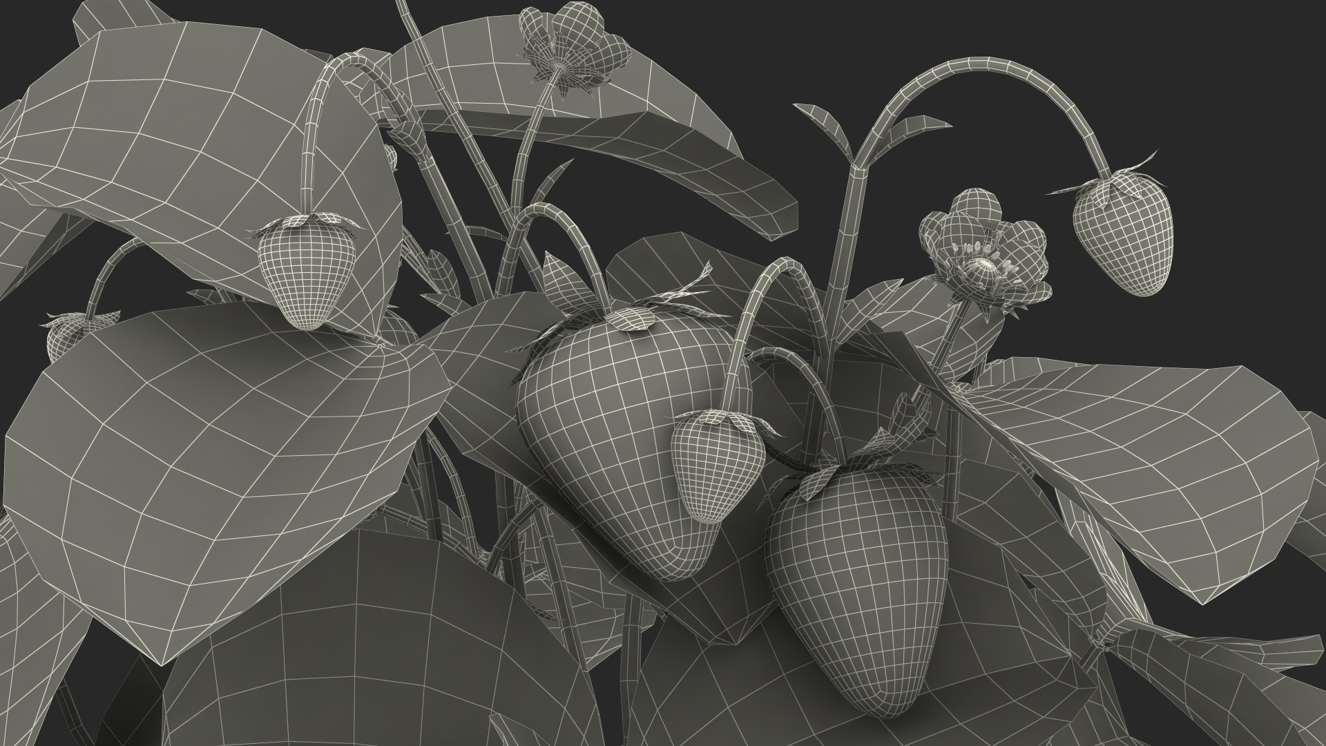 3D model Bush of Strawberry Plant with Fruits Set