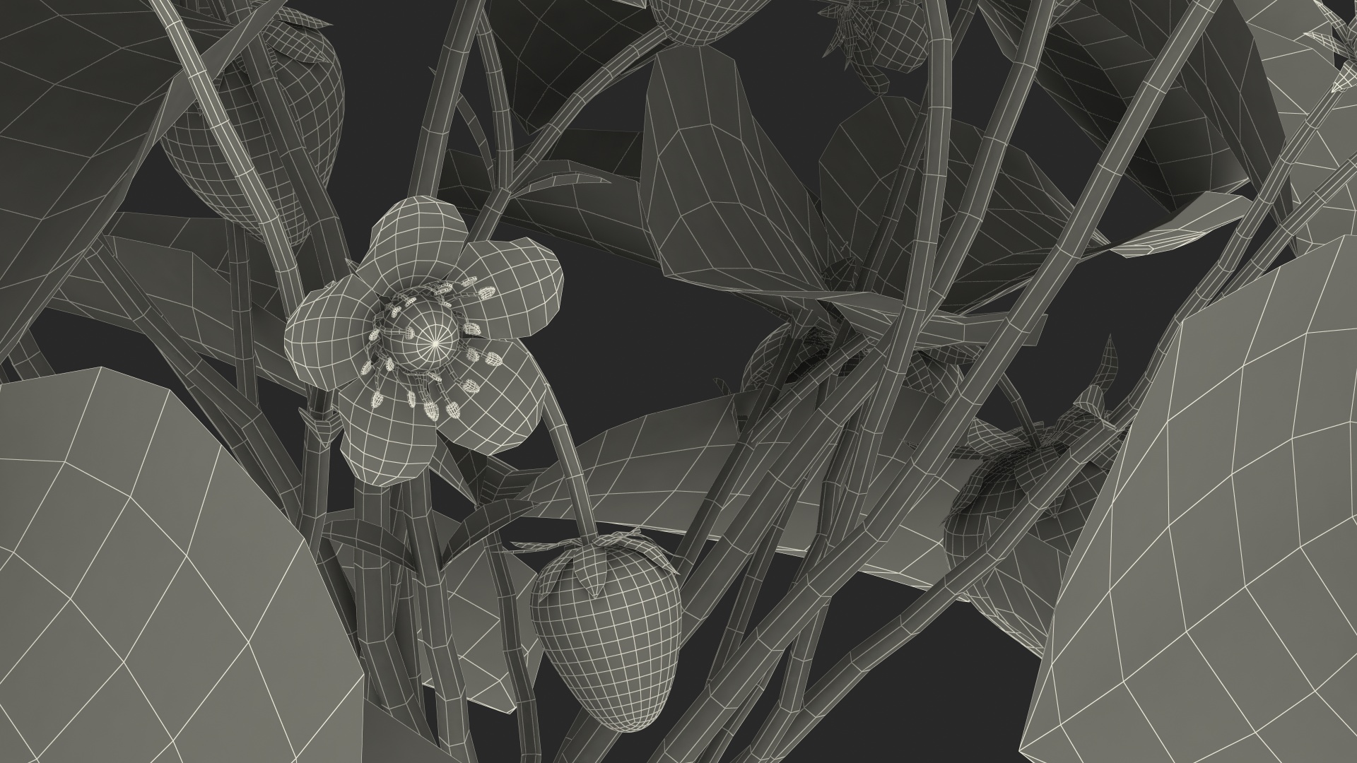 3D model Bush of Strawberry Plant with Fruits Set