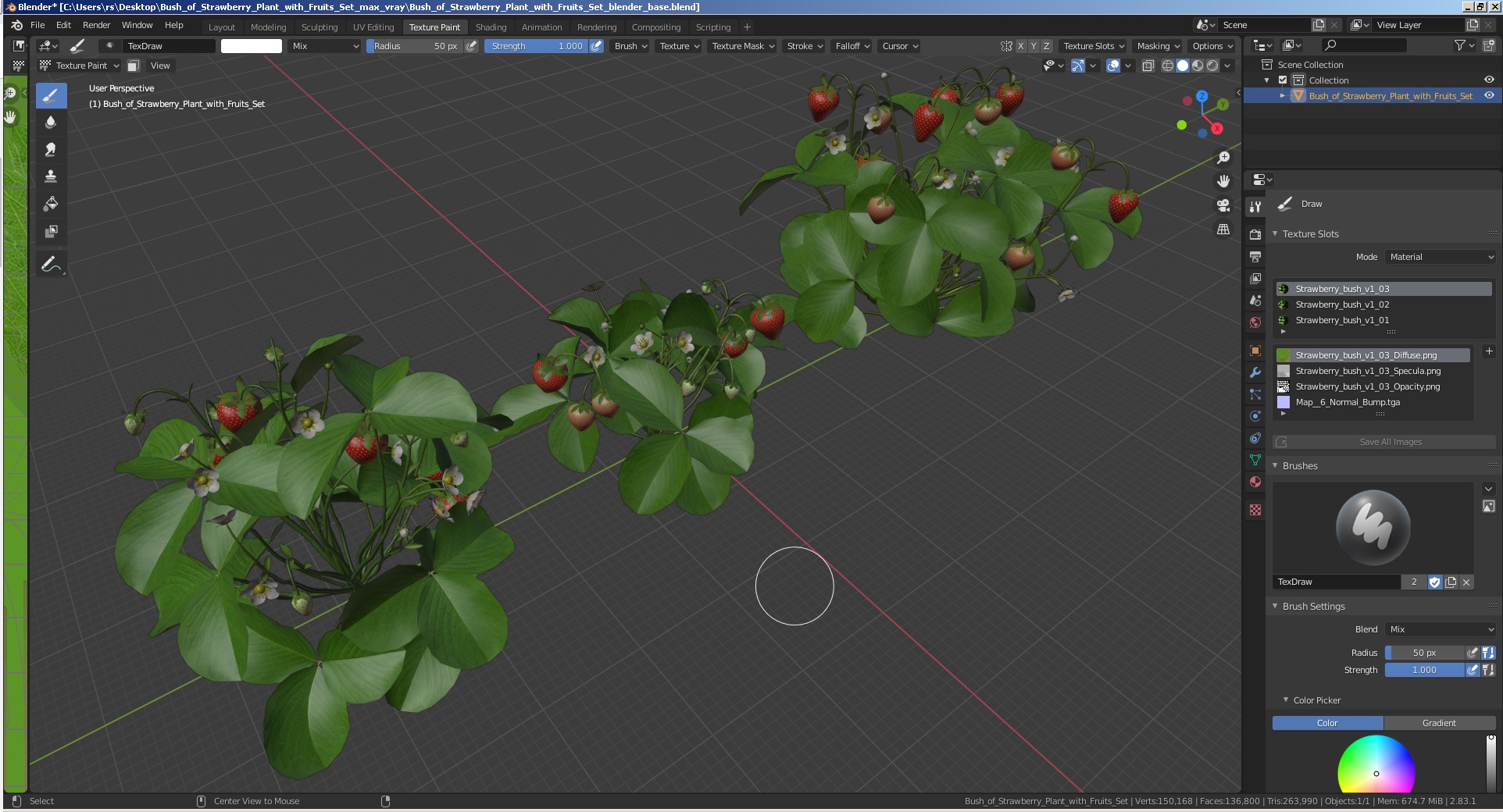 3D model Bush of Strawberry Plant with Fruits Set