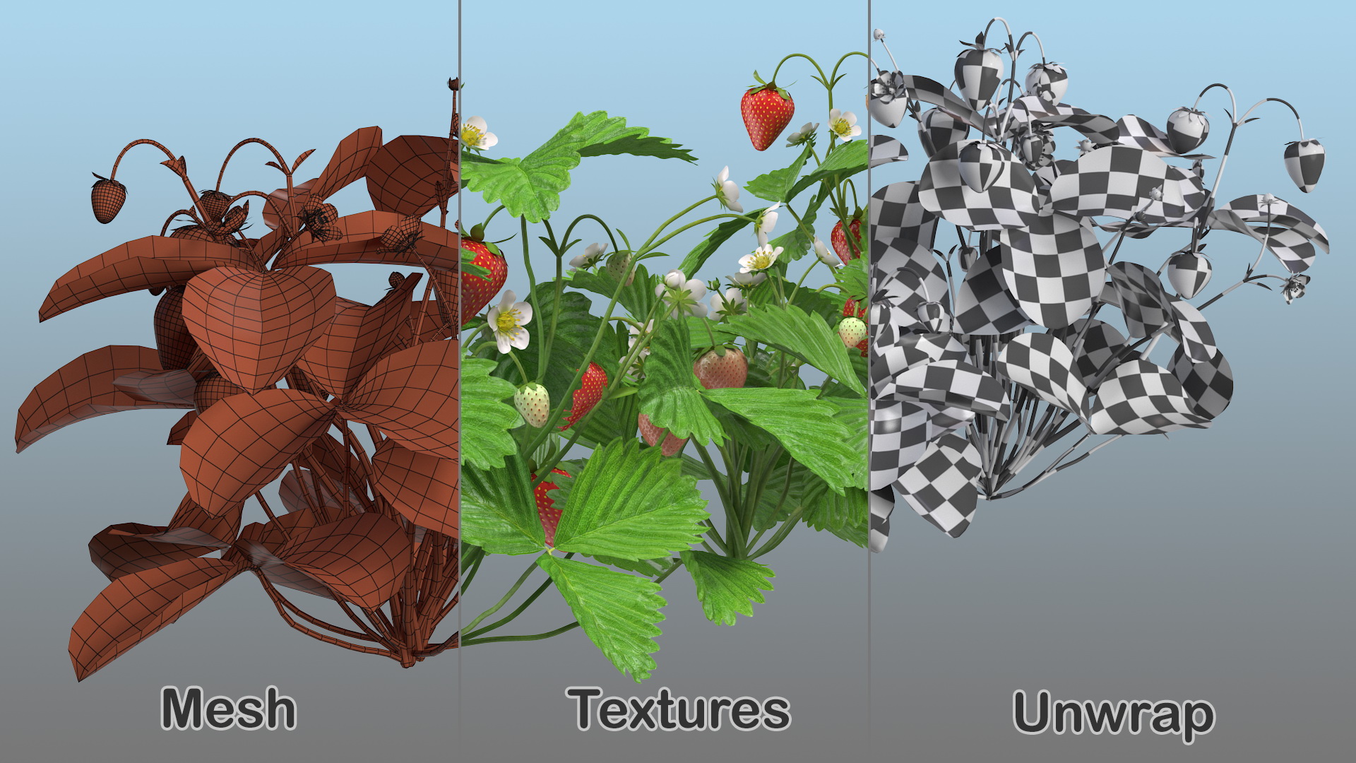 3D model Bush of Strawberry Plant with Fruits Set