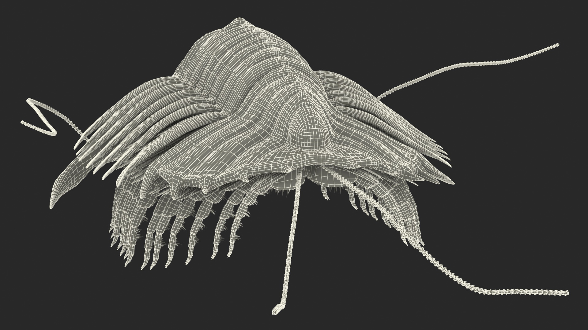 3D Trilobite Fur model
