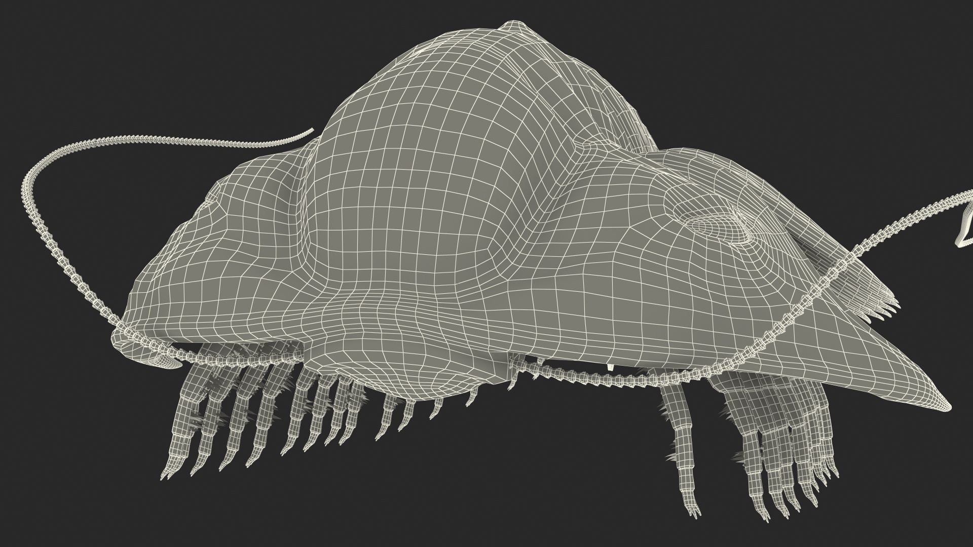 3D Trilobite Fur model