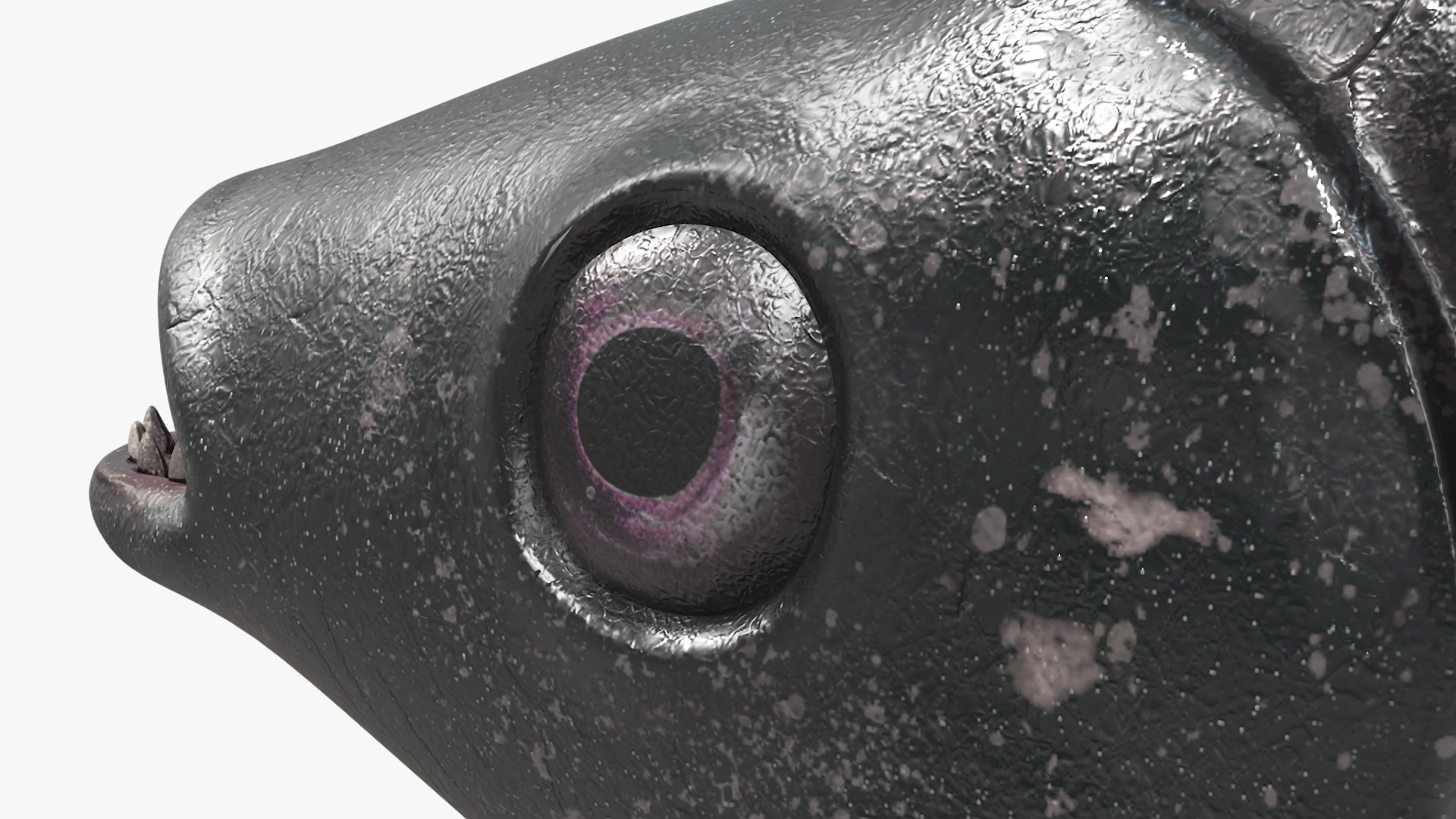 3D Guppy Fish Black Prince model