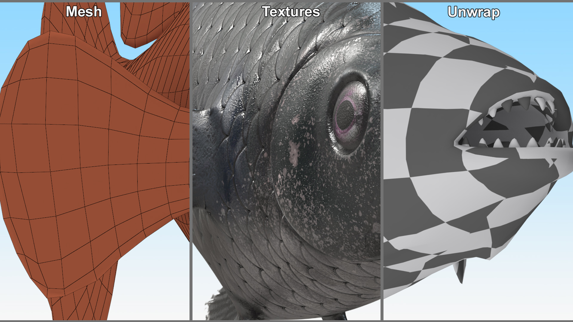 3D Guppy Fish Black Prince model