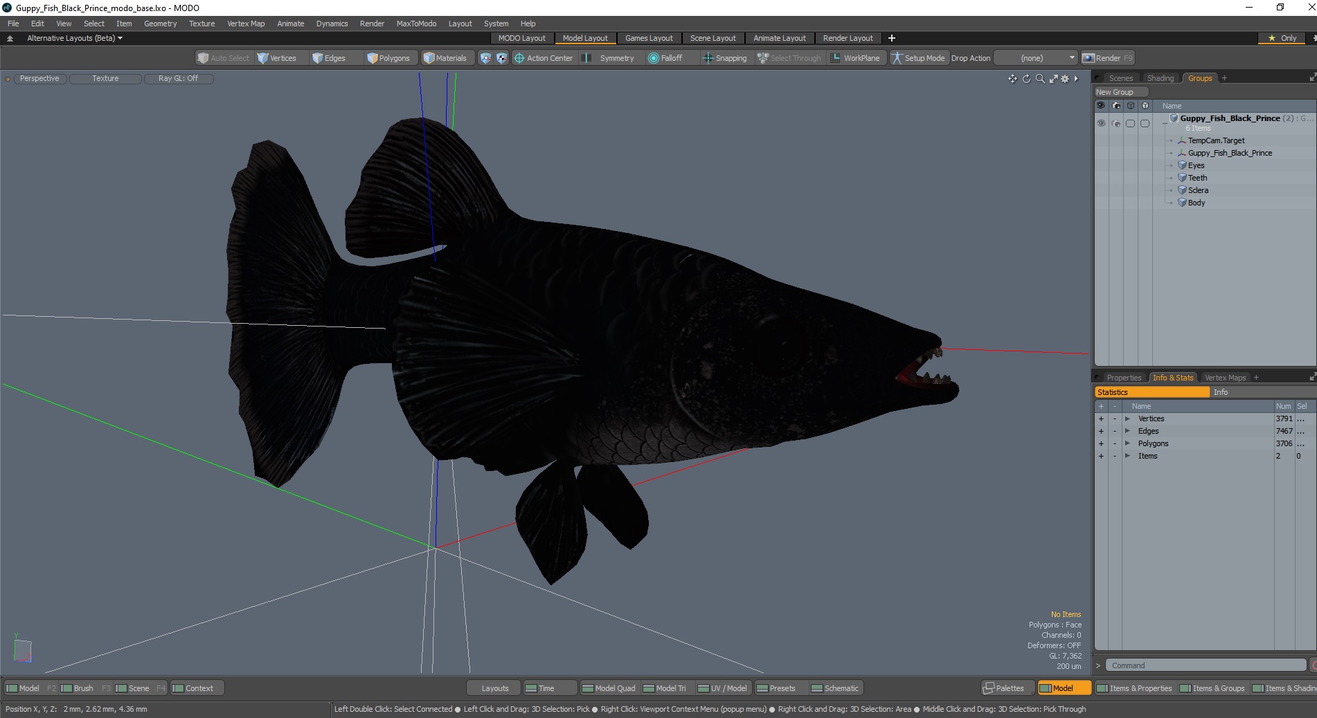 3D Guppy Fish Black Prince model
