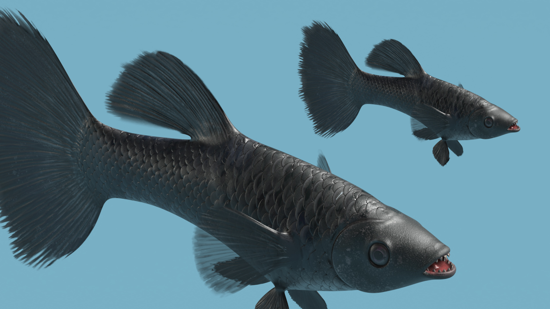 3D Guppy Fish Black Prince model