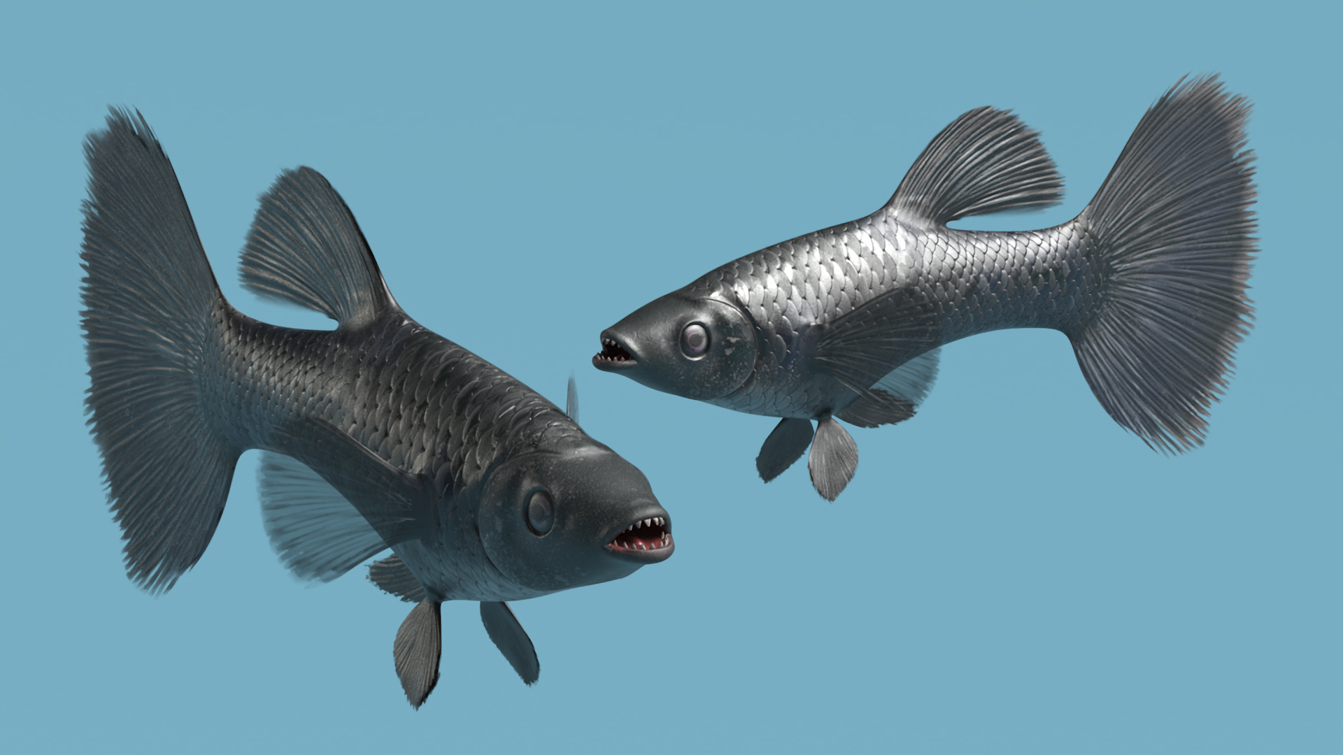 3D Guppy Fish Black Prince model