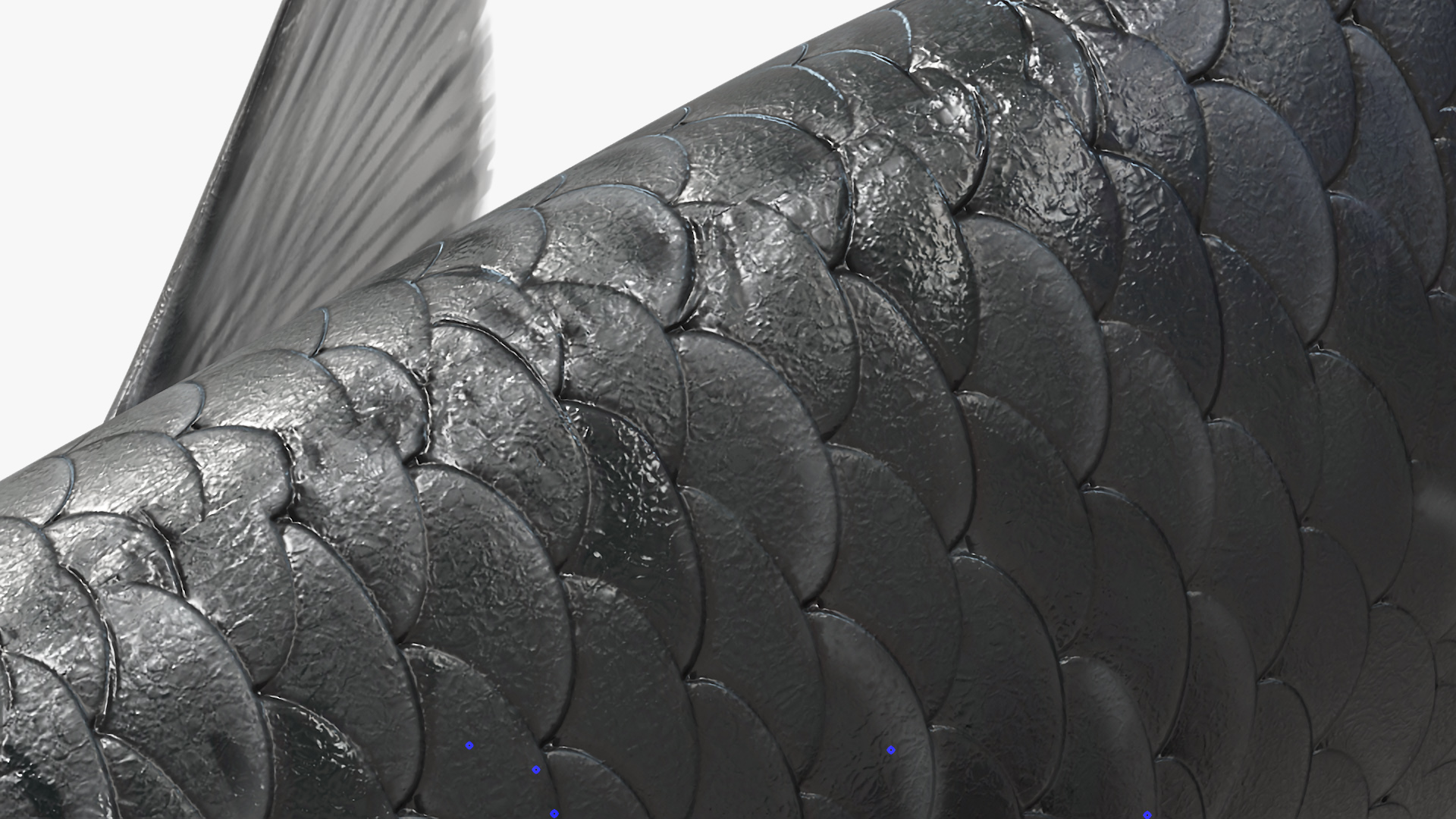 3D Guppy Fish Black Prince model