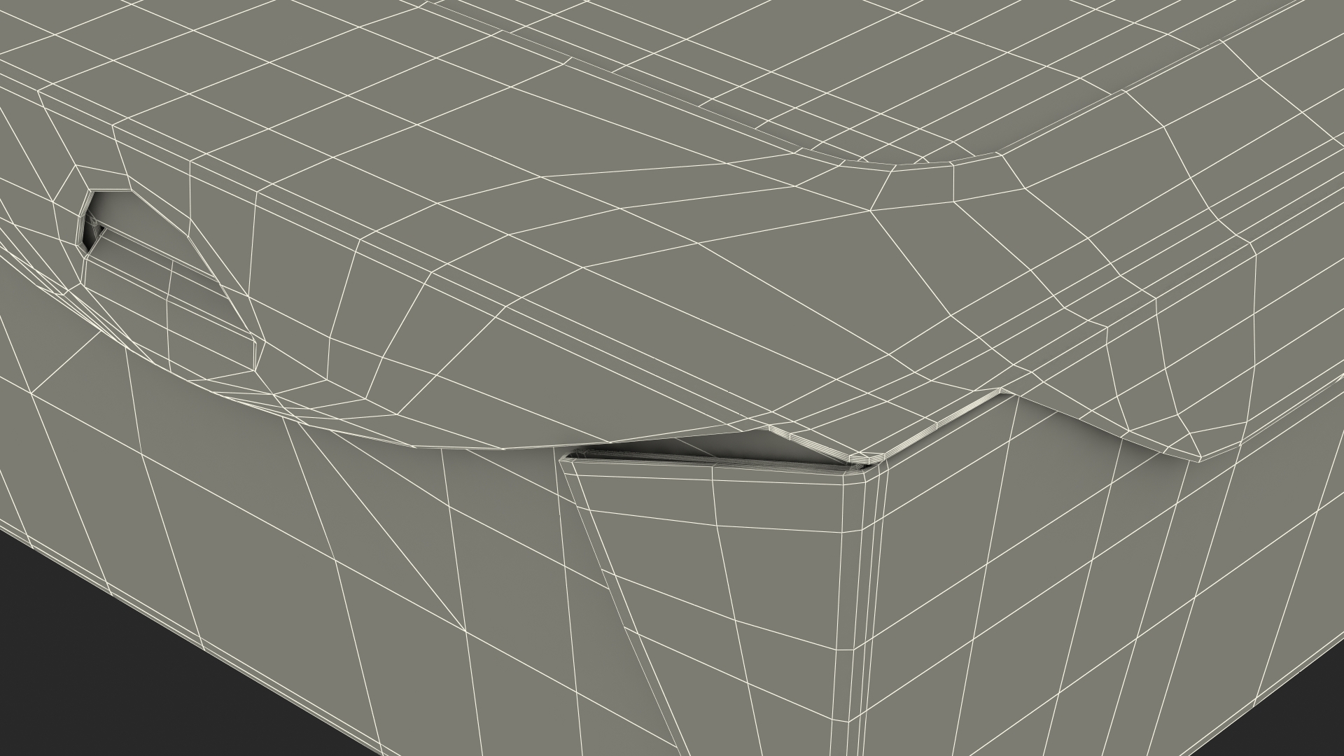 Kraft Salad Box with Clear Window Set 3D